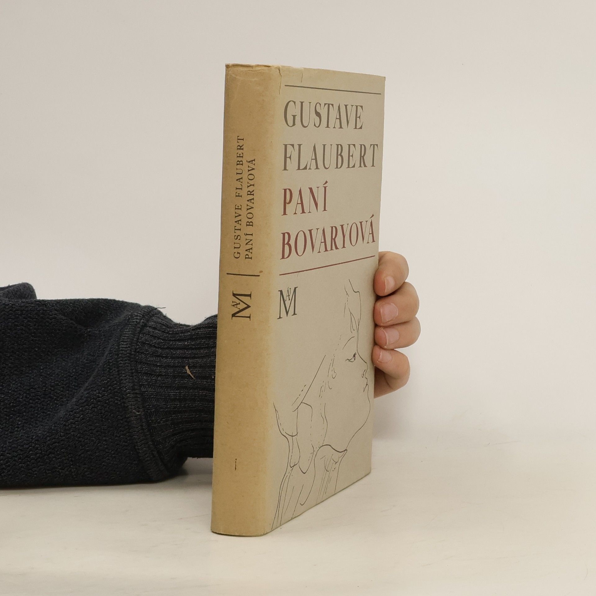 Gustave Flaubert Paní Bovaryová