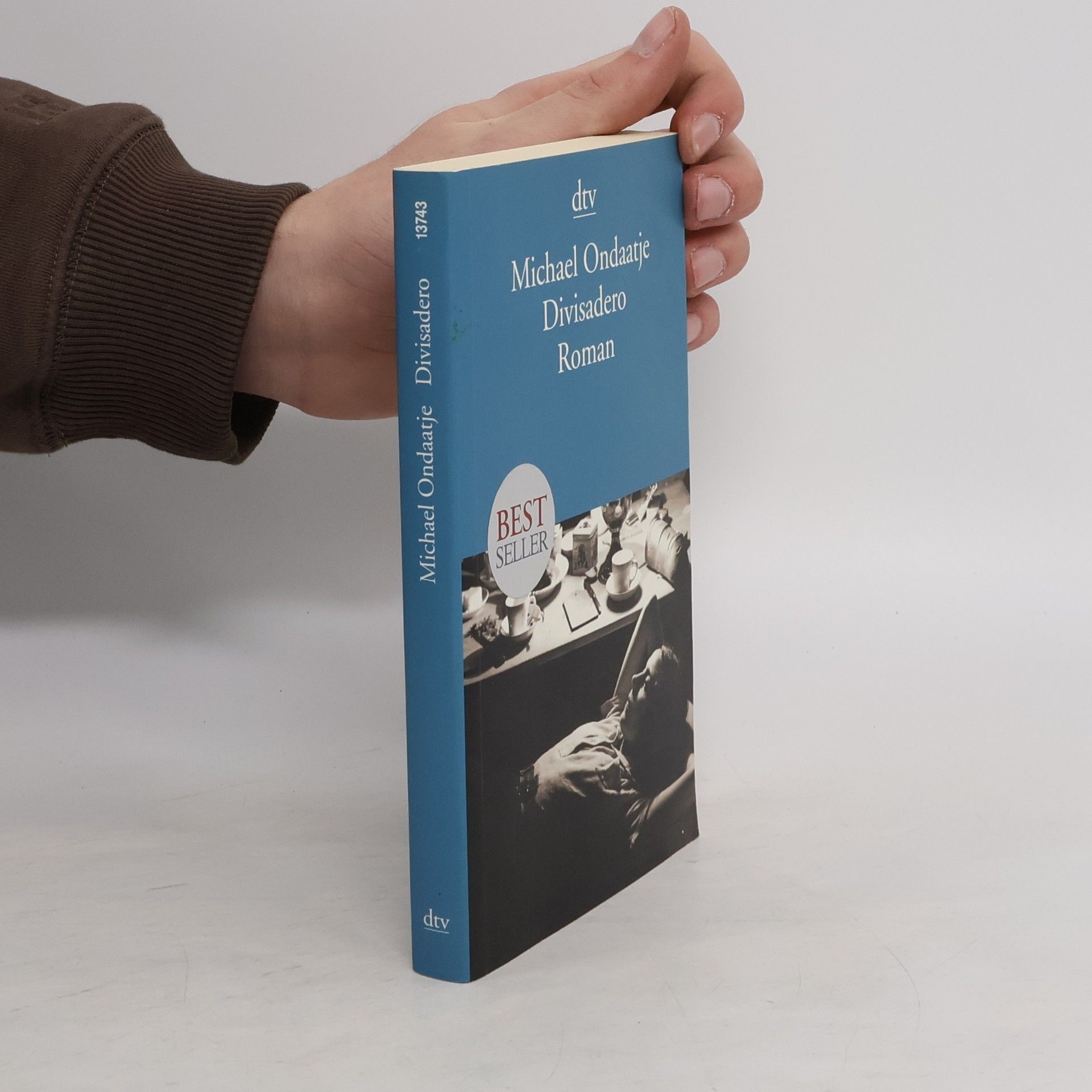 Michael Ondaatje Divisadero