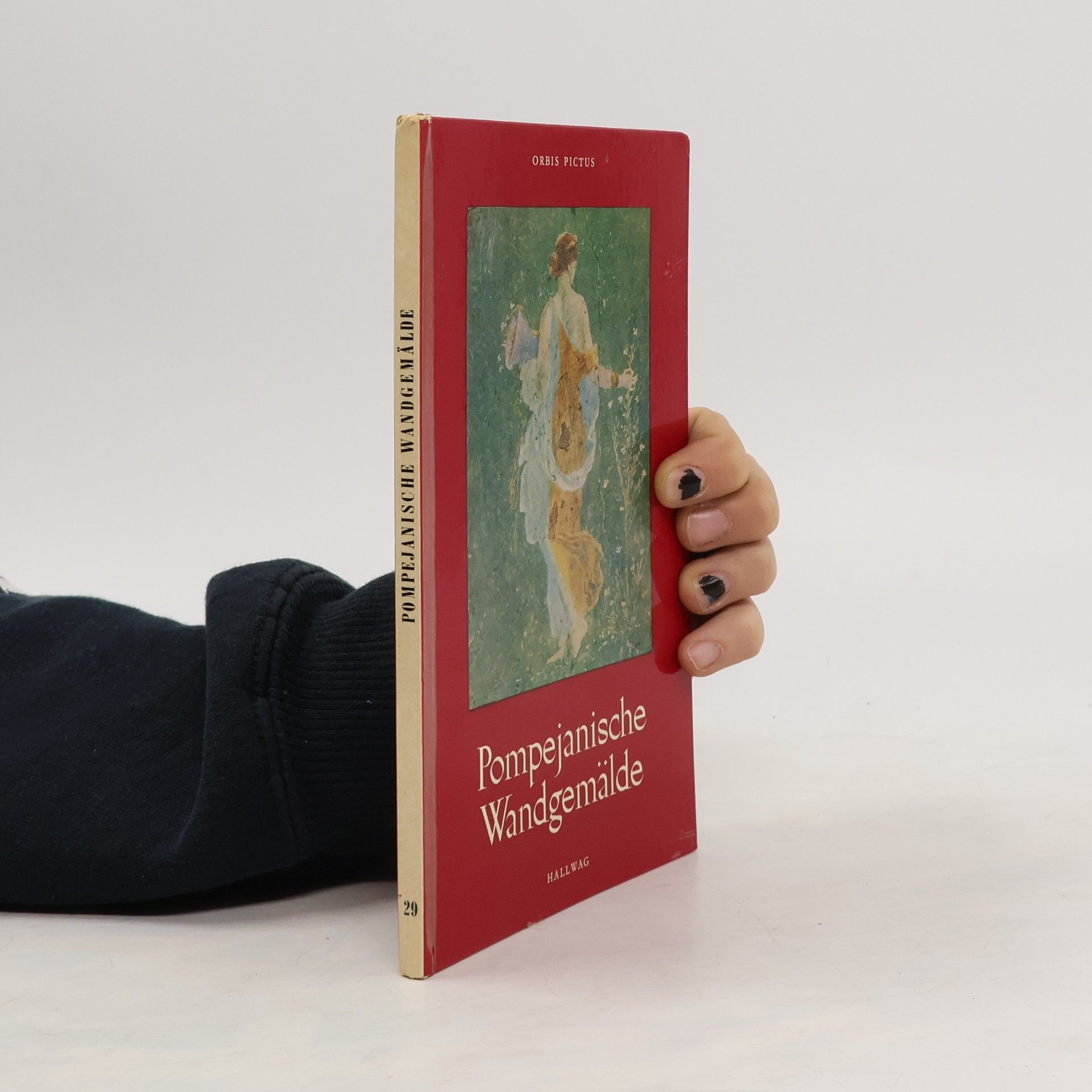 Orbis Pictus Istropolitana Pompejanische Wangemälde