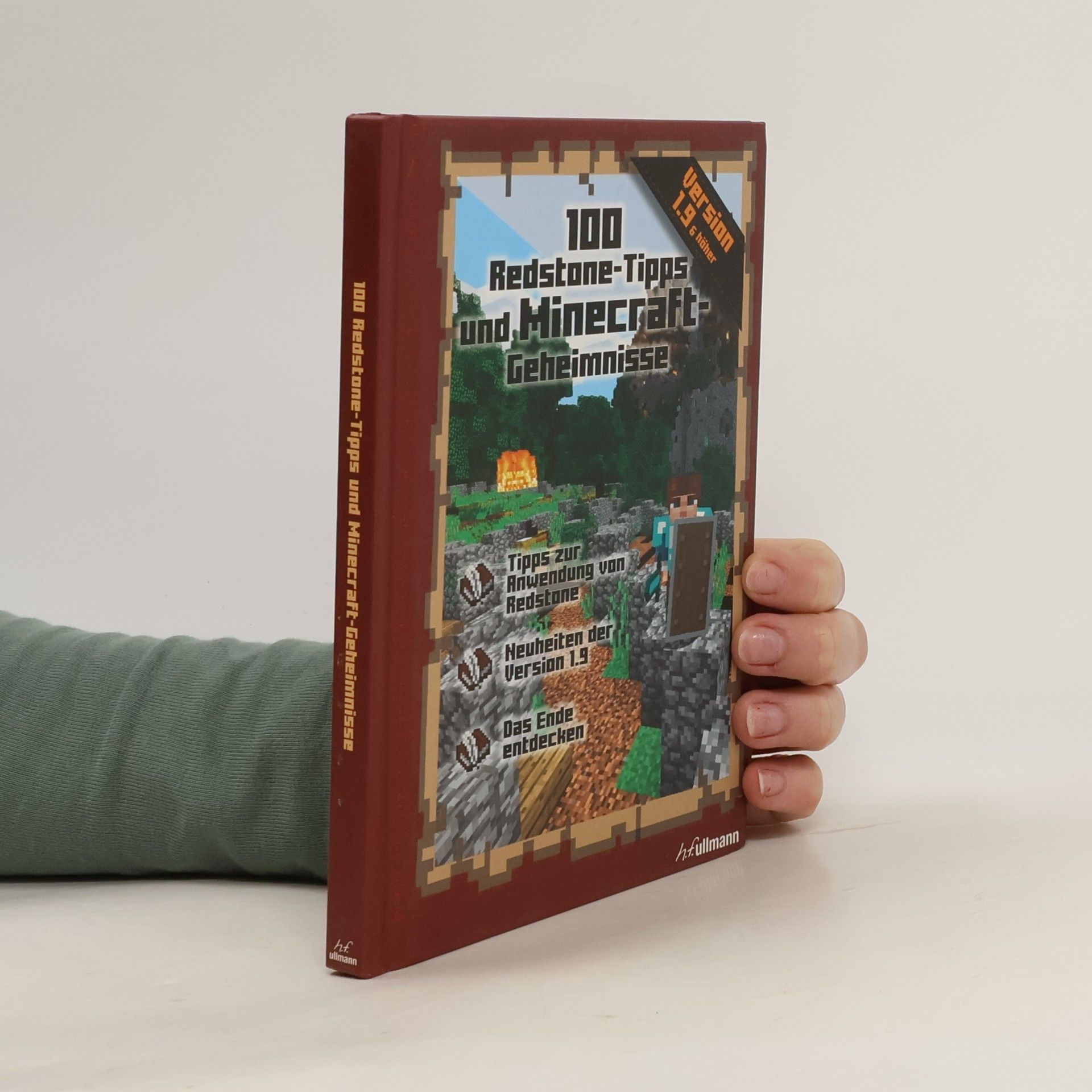 Stéphane Pilet 100 Redstone-Tipps und Minecraft-Geheimnisse