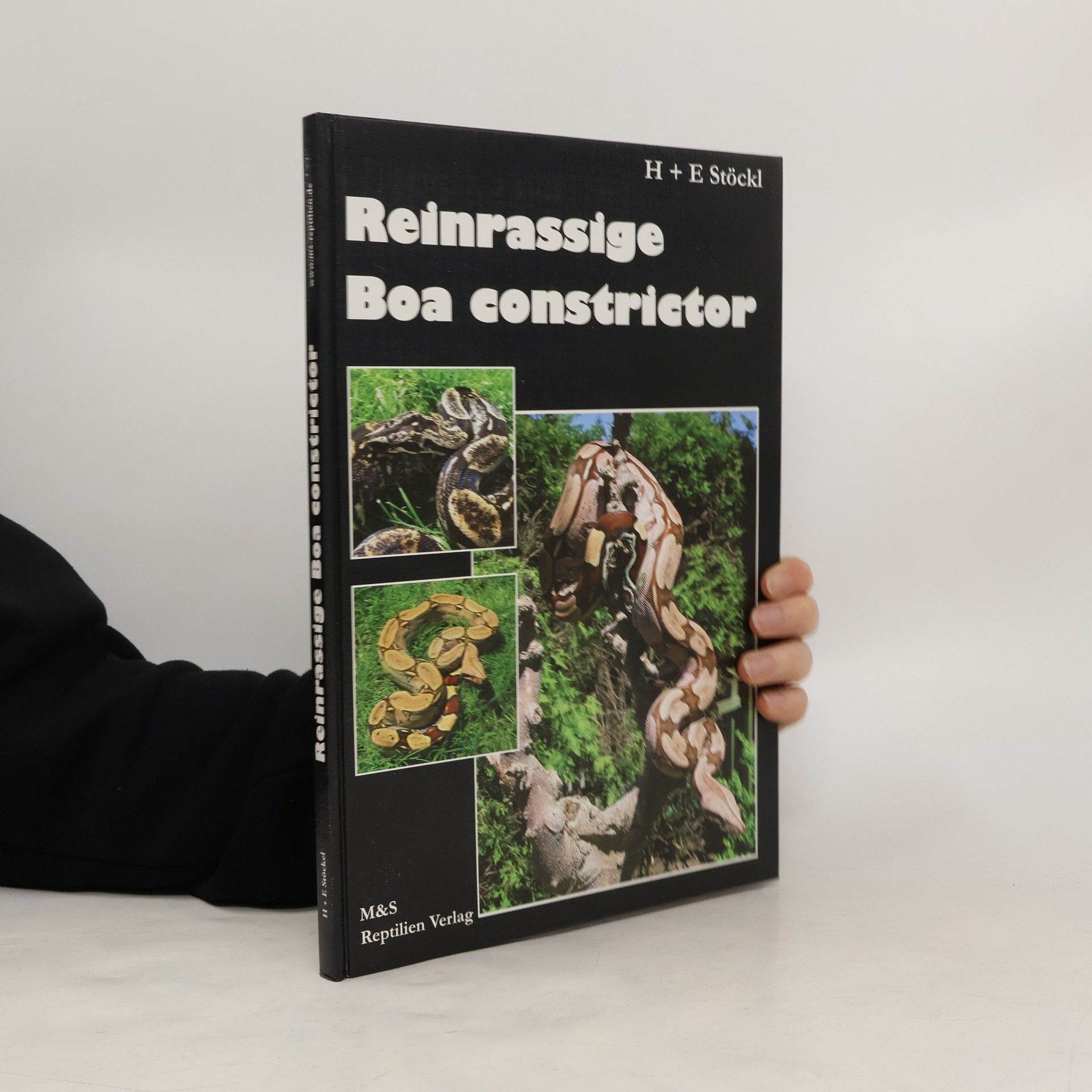 Hermann Stöckl Reinrassige Boa constrictor