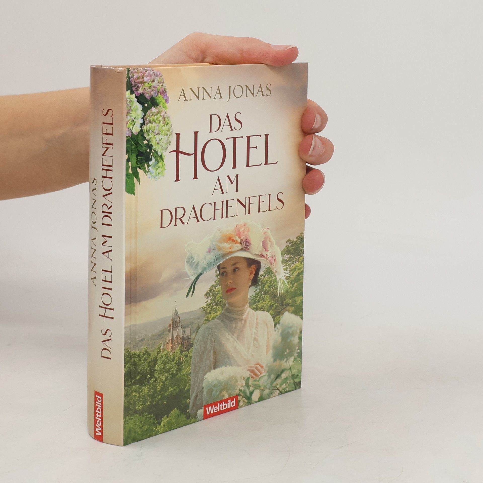 Anna Jonas Das Hotel am Drachenfels
