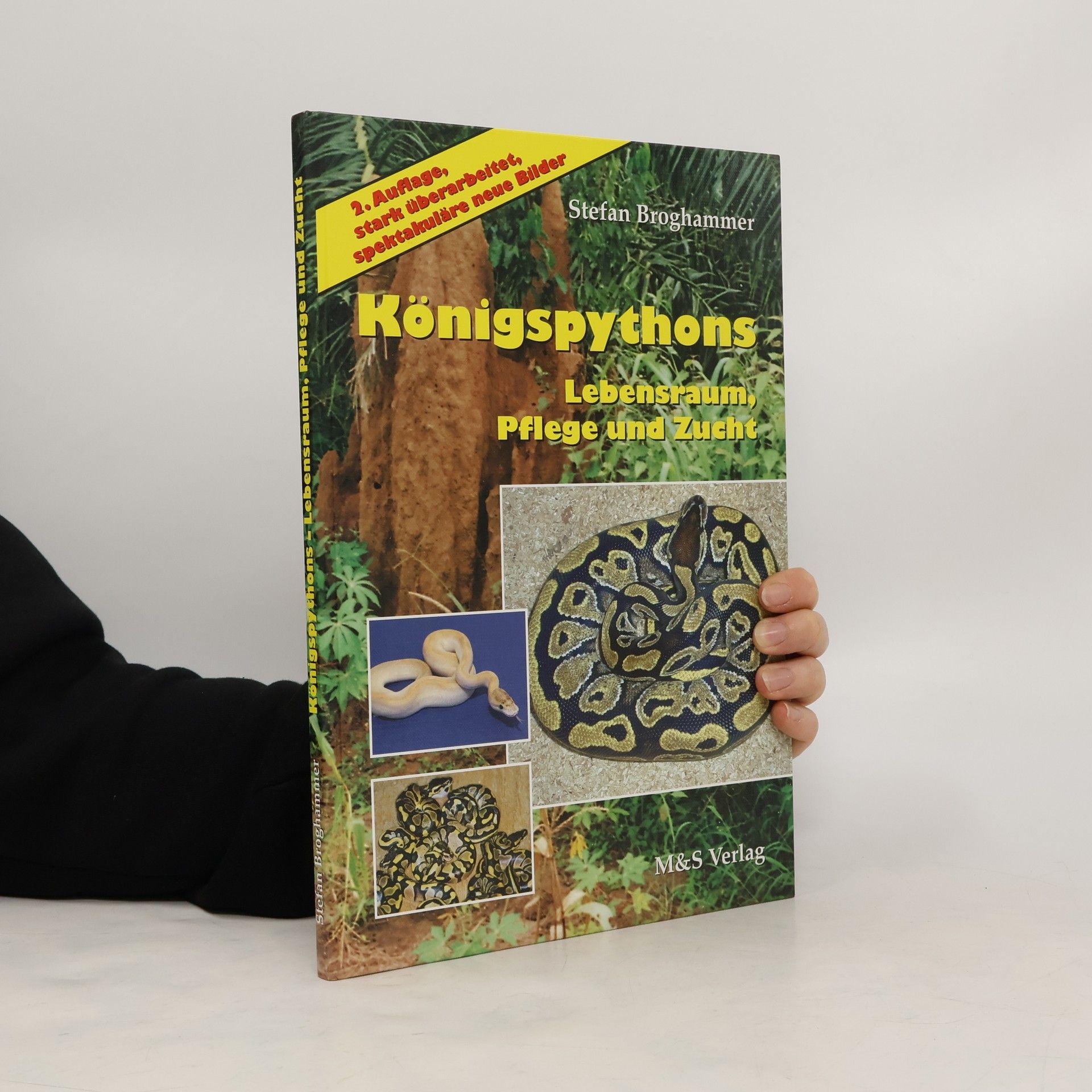 Stefan Broghammer Königspythons