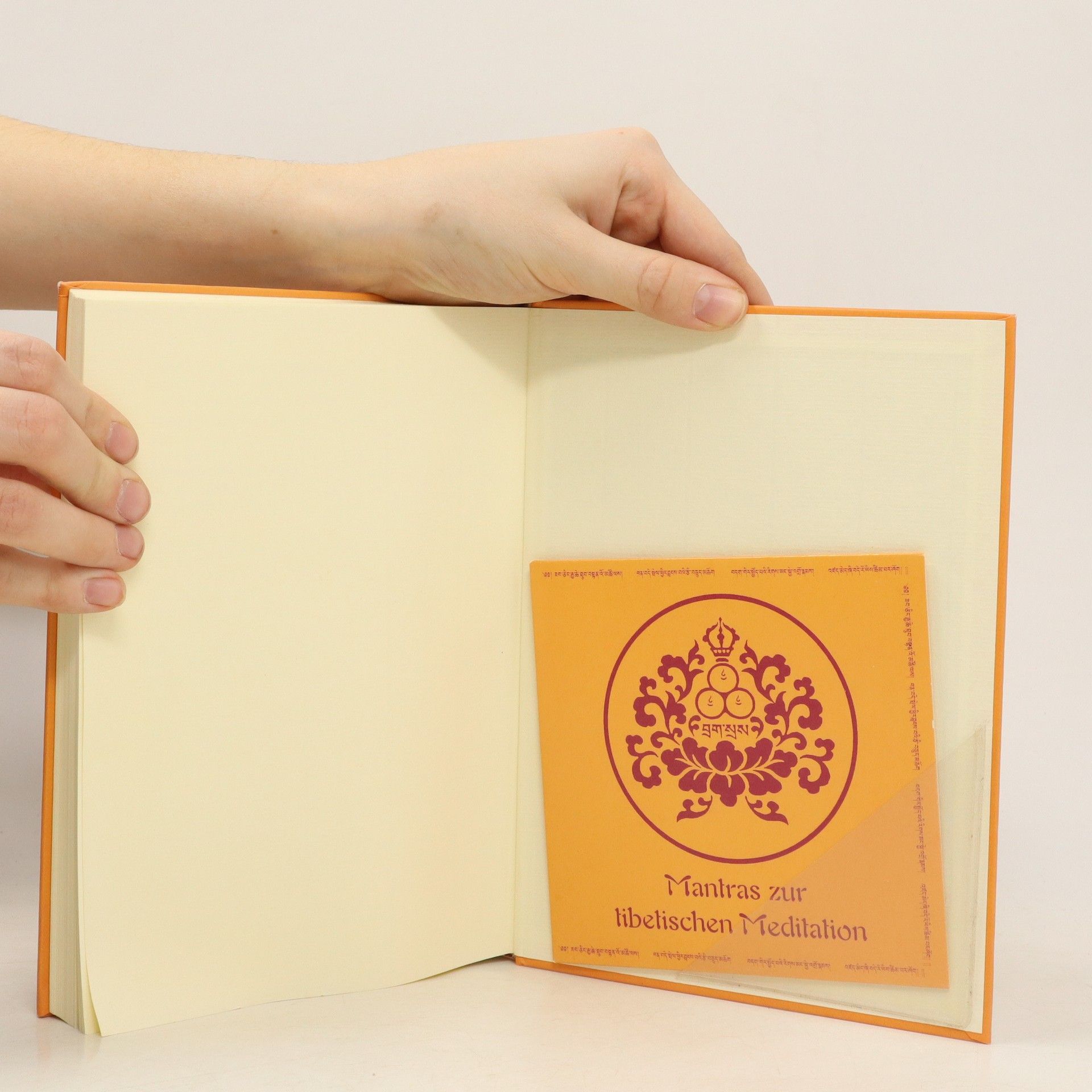Lama Dagsay Tulku Das Praxisbuch der tibetischen Meditation