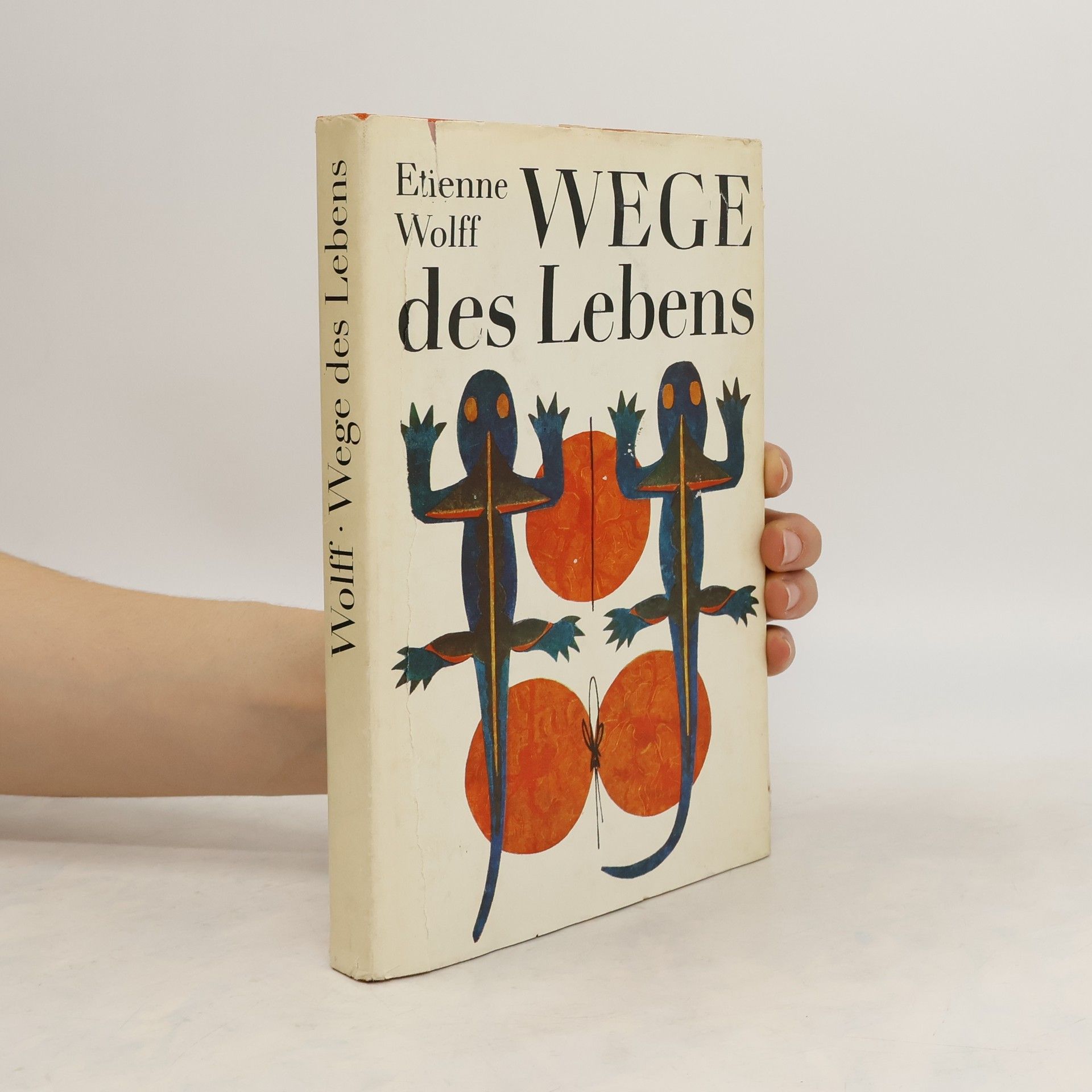 Etienne Wolff Wege des Lebens