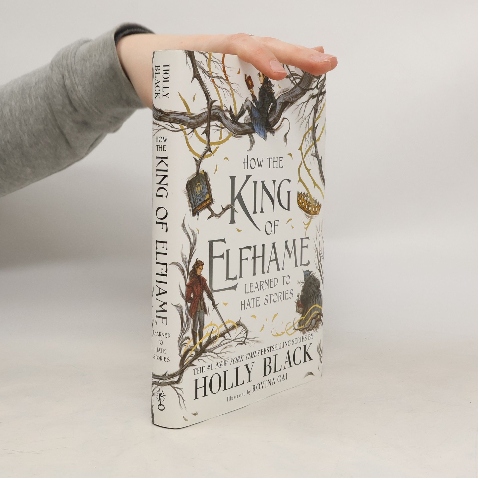 Holly Black How the King of Elfhame learned to hate stories