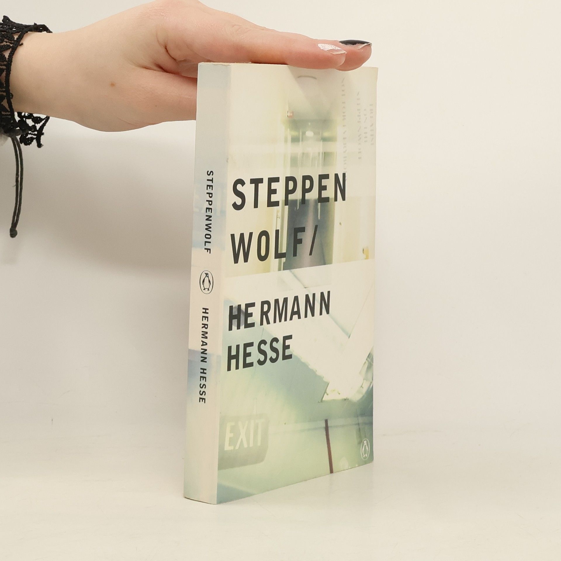 Hermann Hesse Steppenwolf