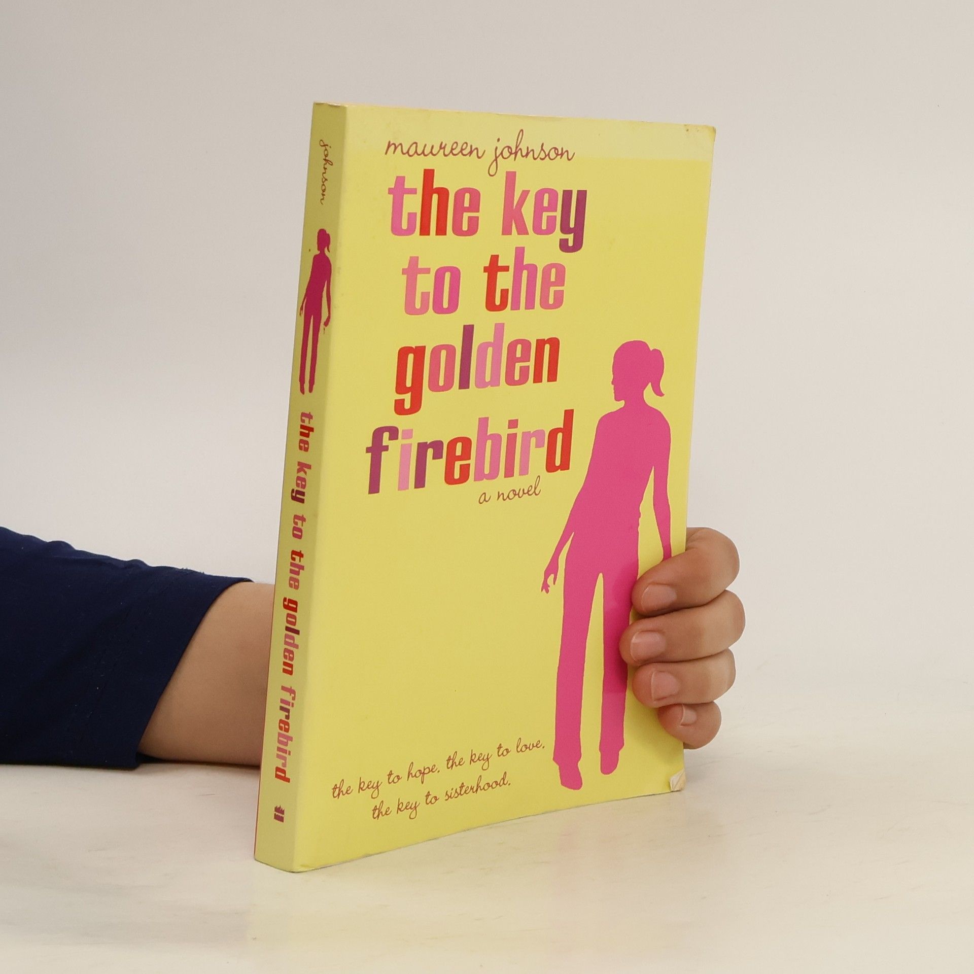 Maureen Johnsonová The Key to the Golden Firebird