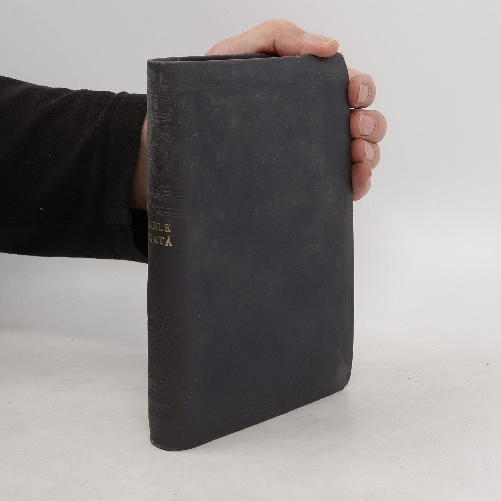 Kolektív autorov Biblí svatá aneb všecka svatá písma starého i nového zákona
