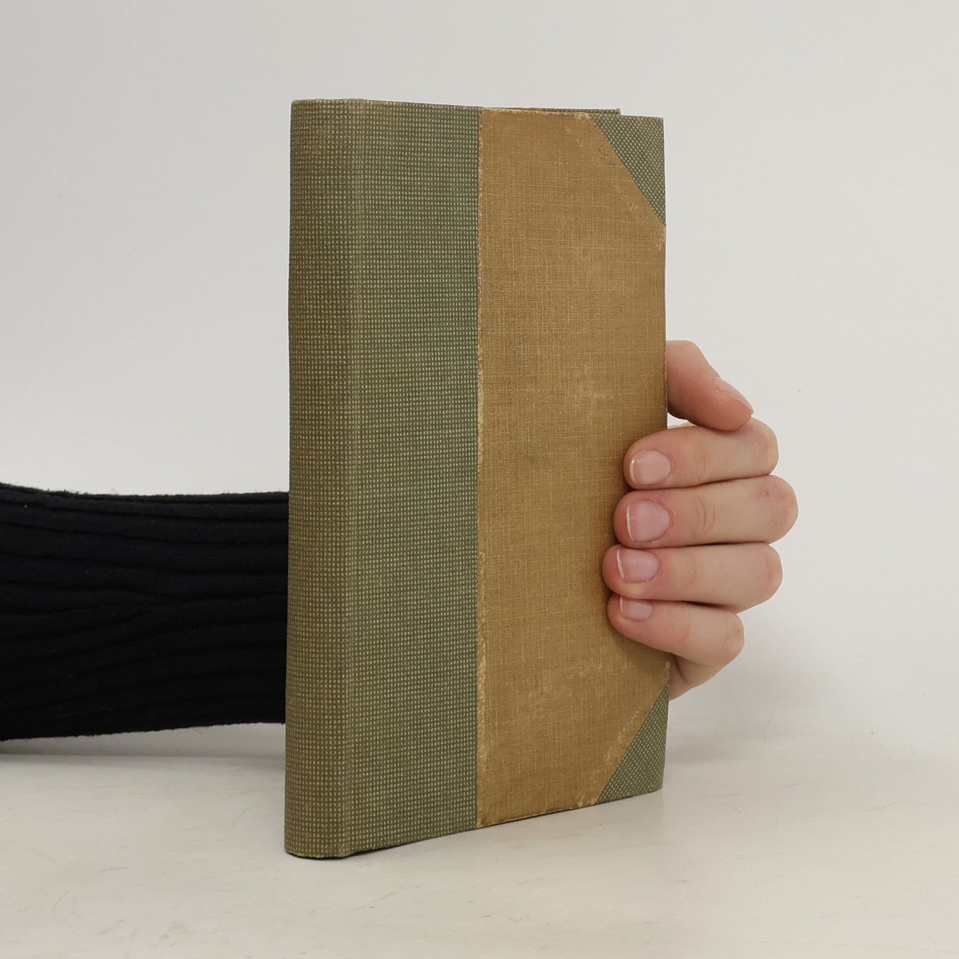 Německé písemnictví od dob nejstarších až po naše dny