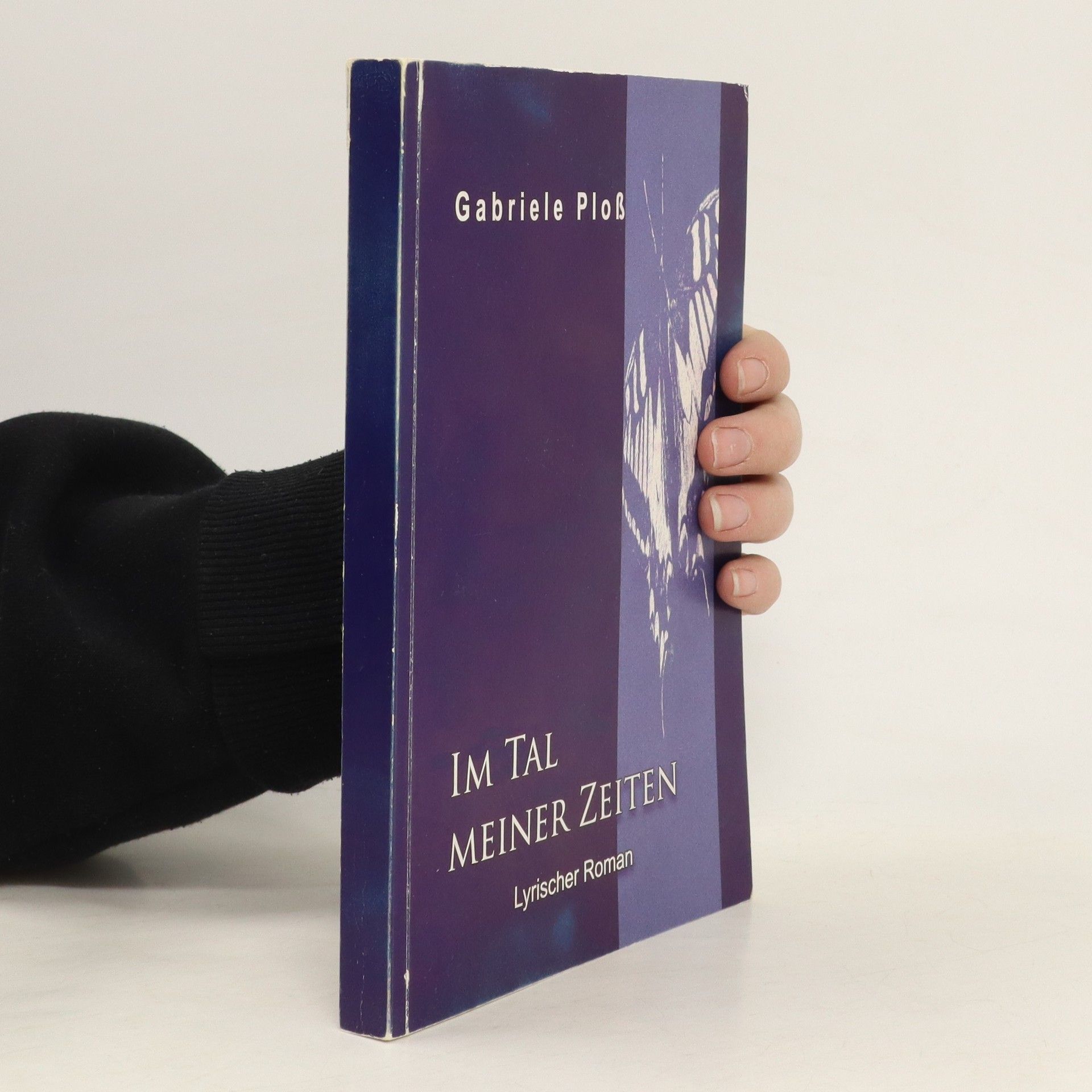 Gabriele Ploß Im Tal meiner Zeiten