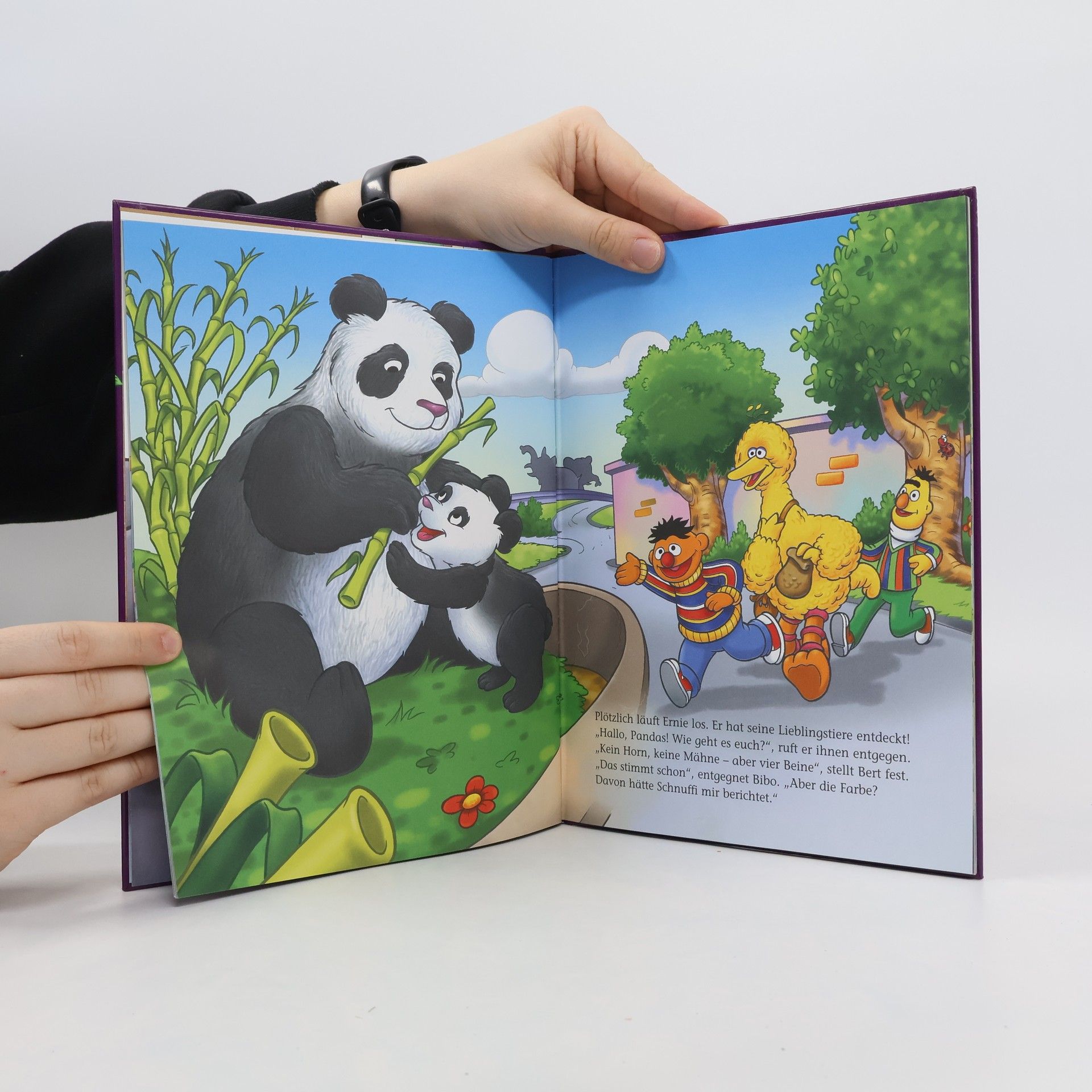 Autorenkollektiv Ein Besuch im ZOO