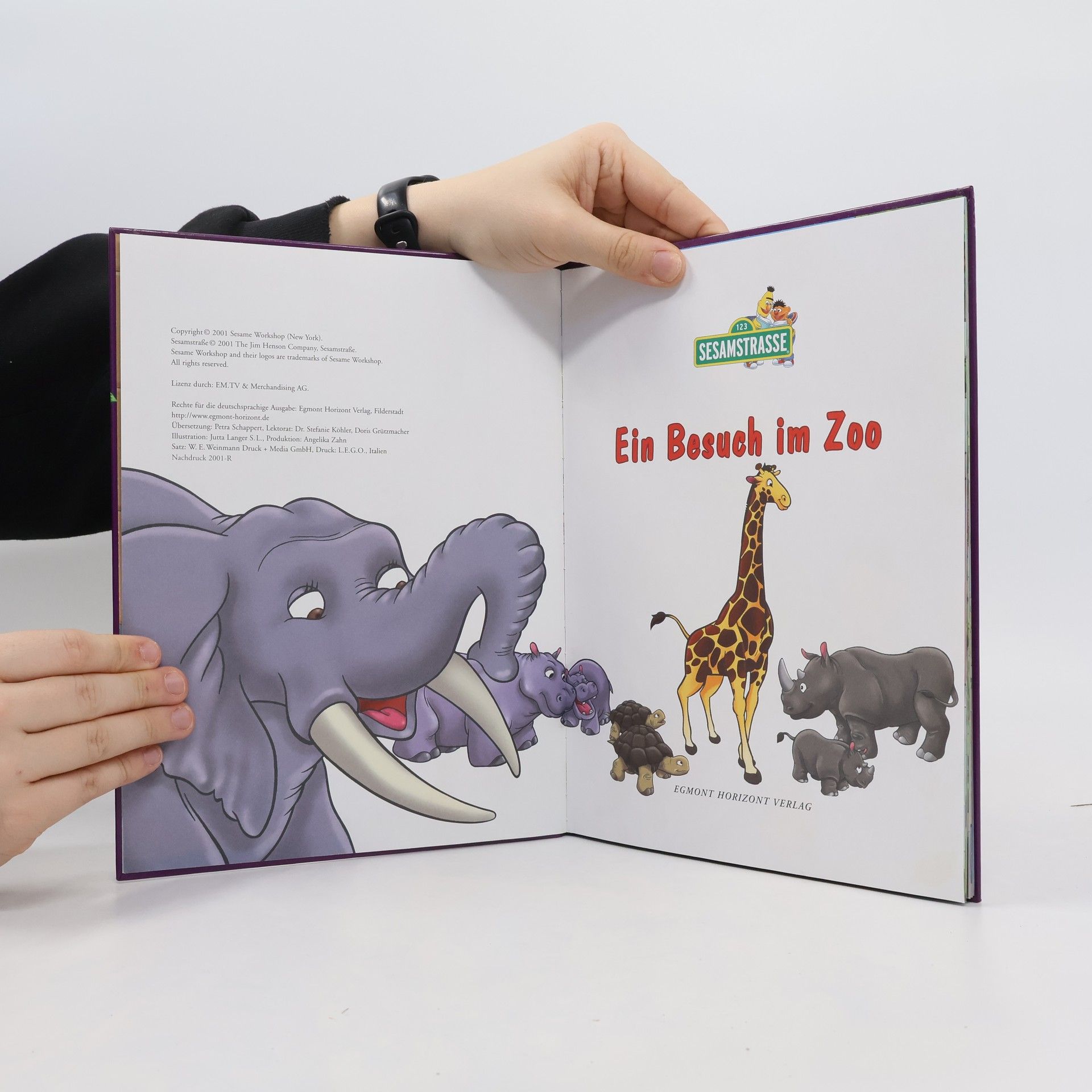 Autorenkollektiv Ein Besuch im ZOO