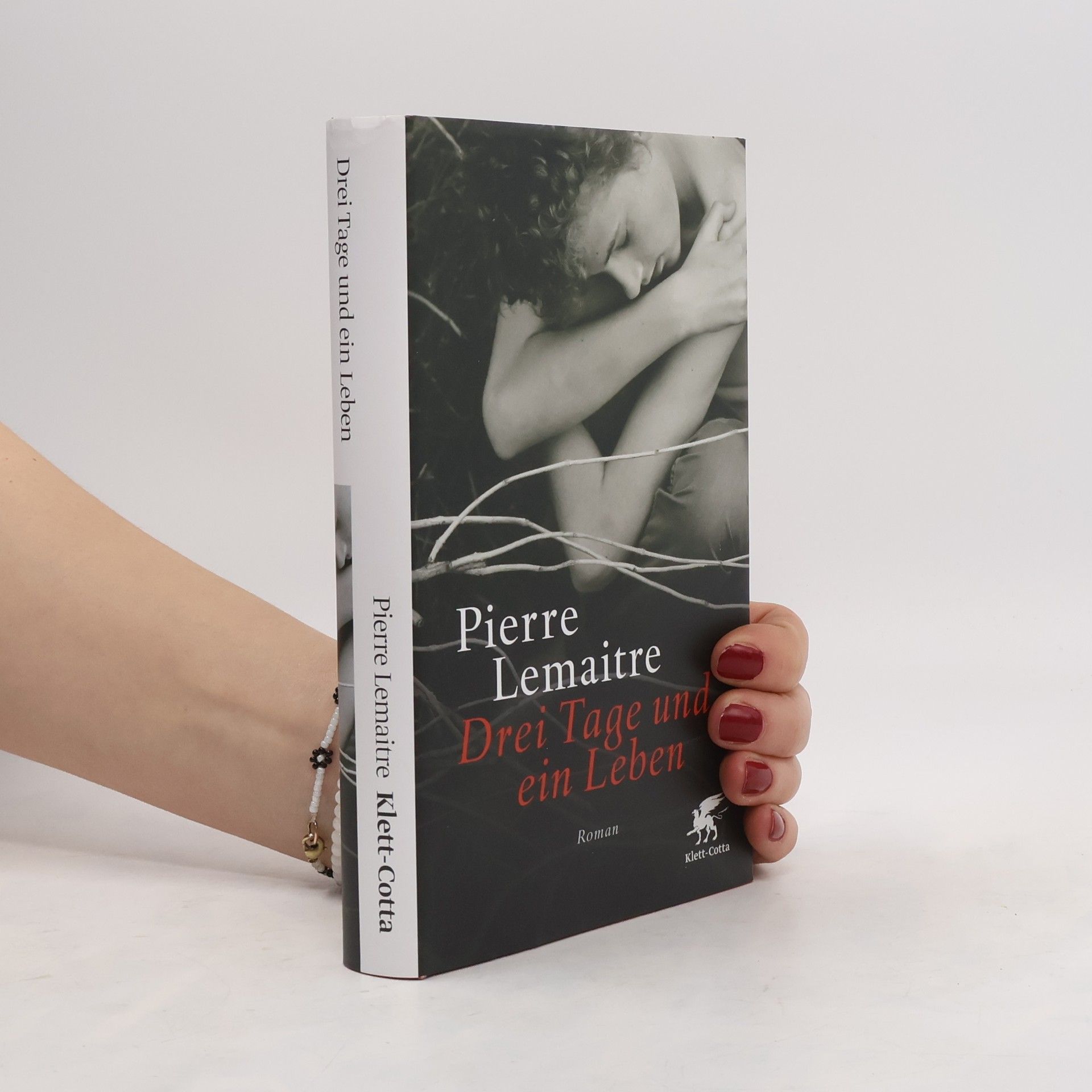 Pierre Lemaitre Drei Tage und ein Leben
