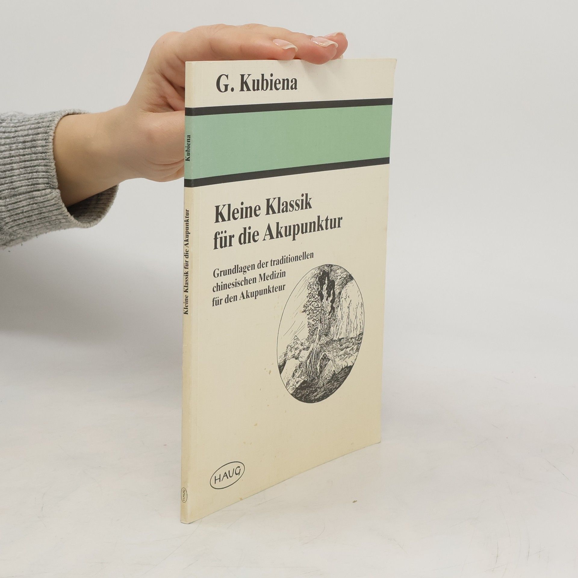 Gertrude Kubiena Kleine Klassik für die Akupunktur