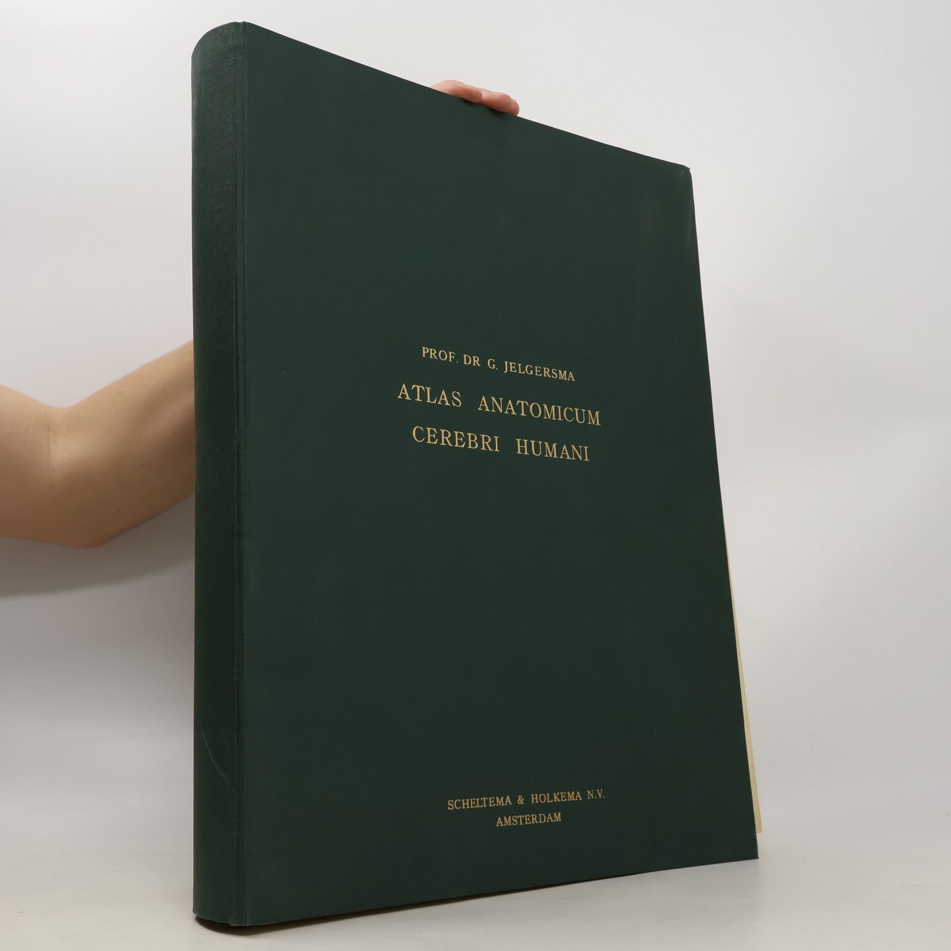 Gerbrandus Jelgersma Atlas anatomicum cerebri humani