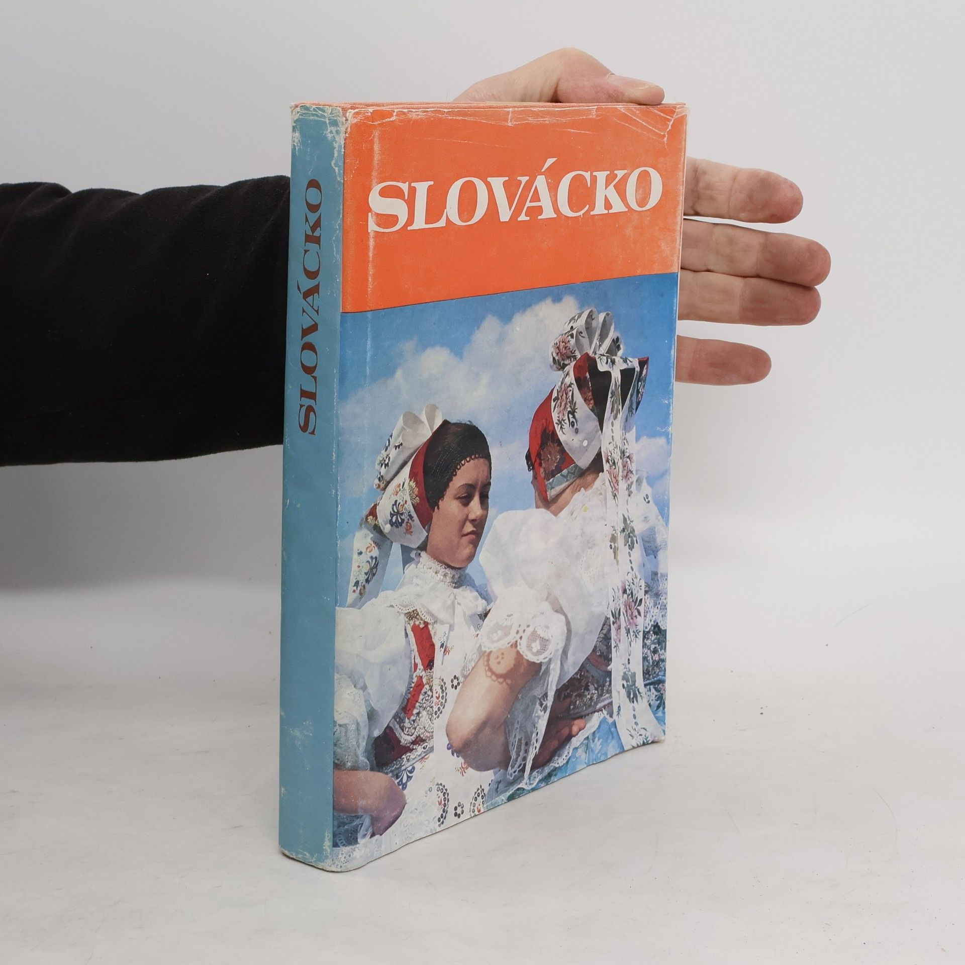 Collectif d'auteurs Slovácko. Kapitoly z dějin Slovácka