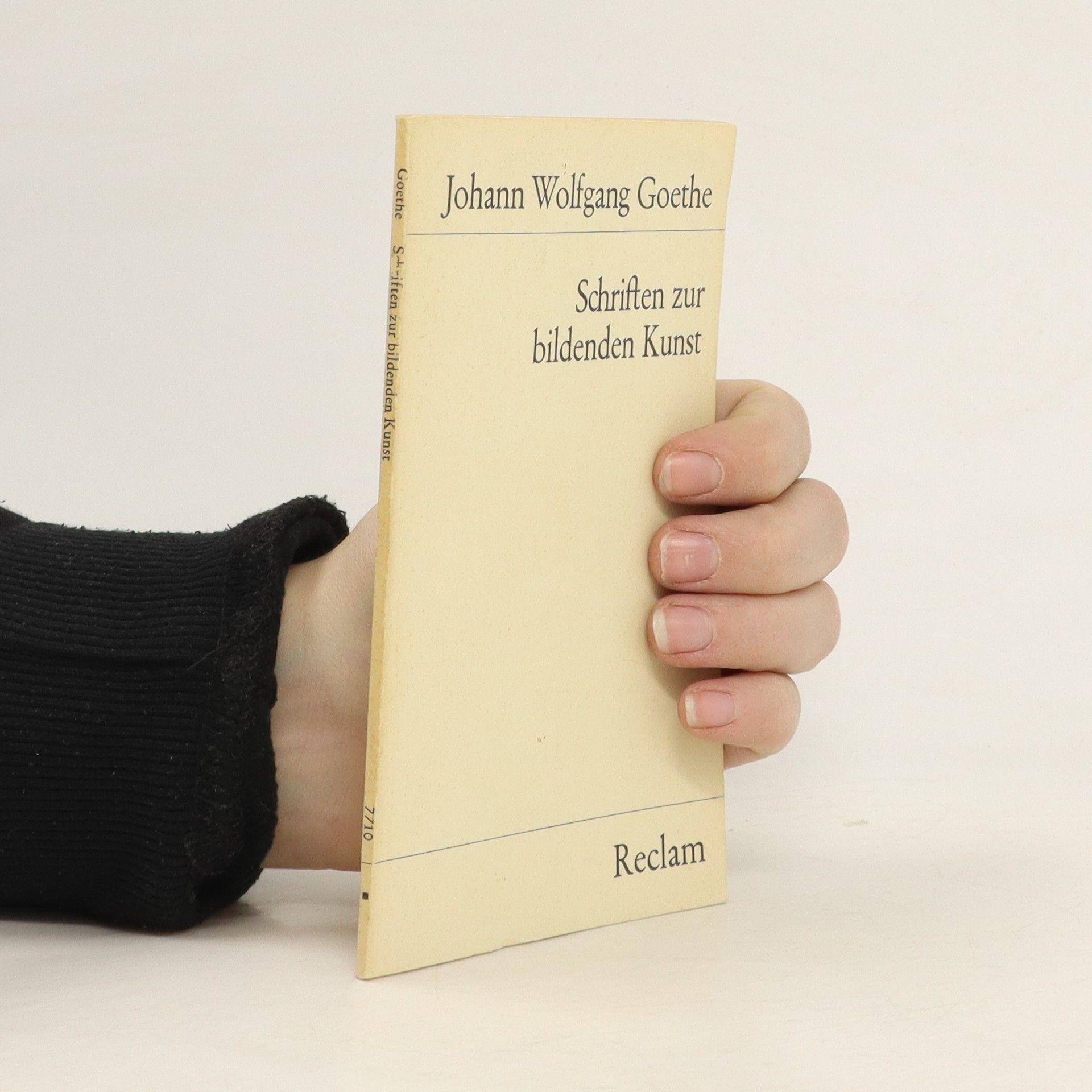 Johann Wolfgang von Goethe Schriften zur bildenden Kunst