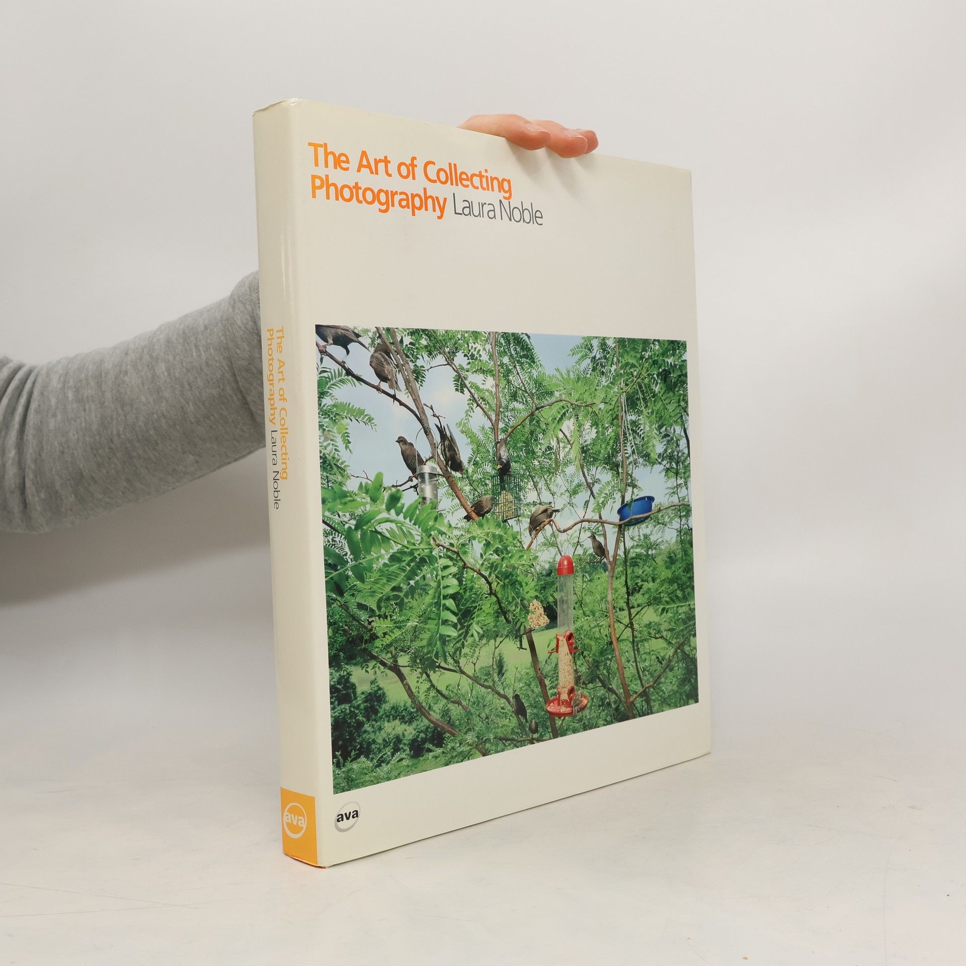 Laura Noble The Art of Collecting Photography