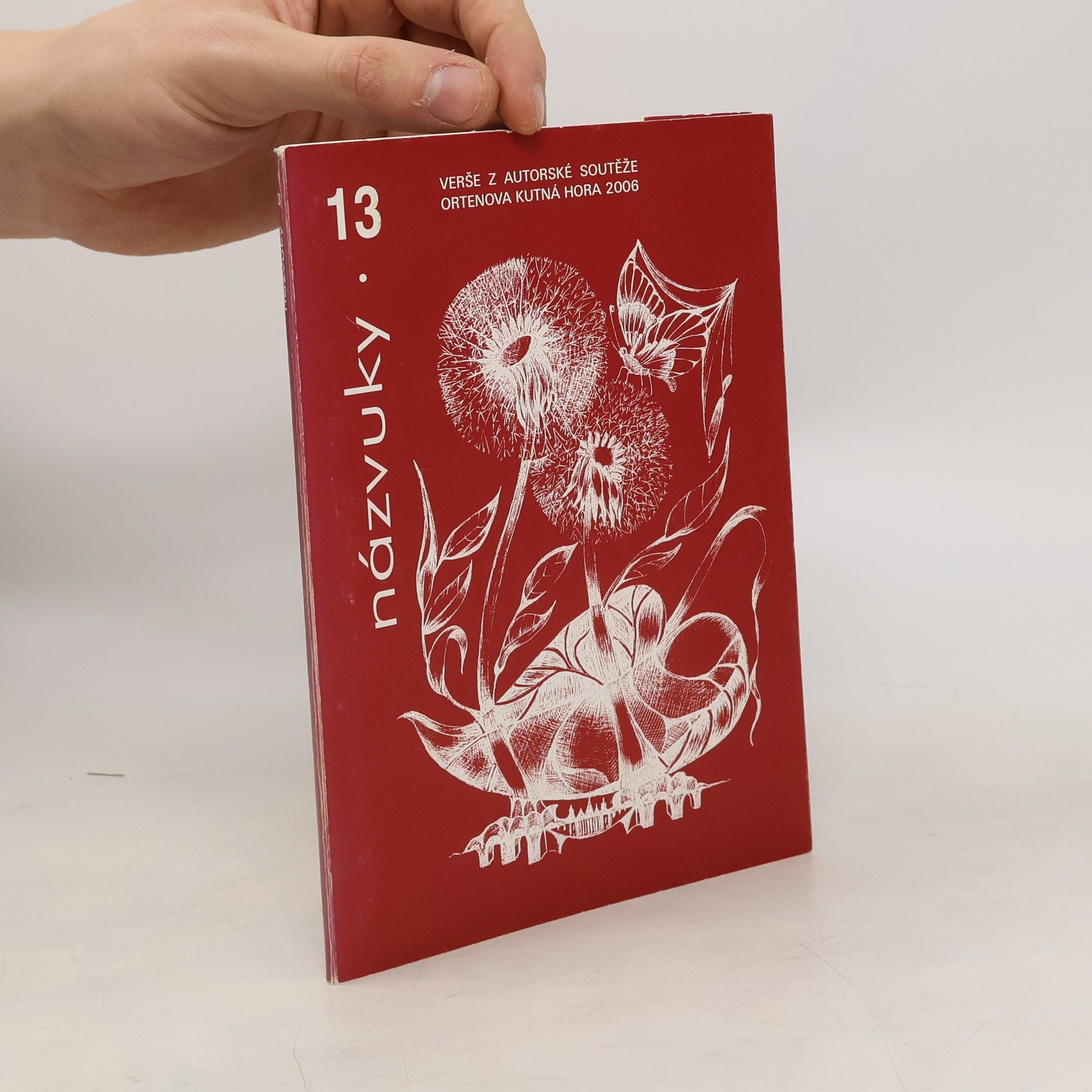 Kolektív autorov Názvuky 13