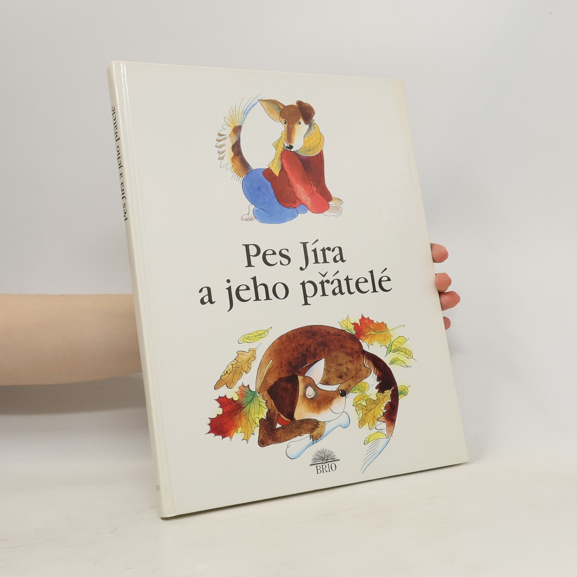 Drijverová Martina Pes Jíra a jeho přátelé