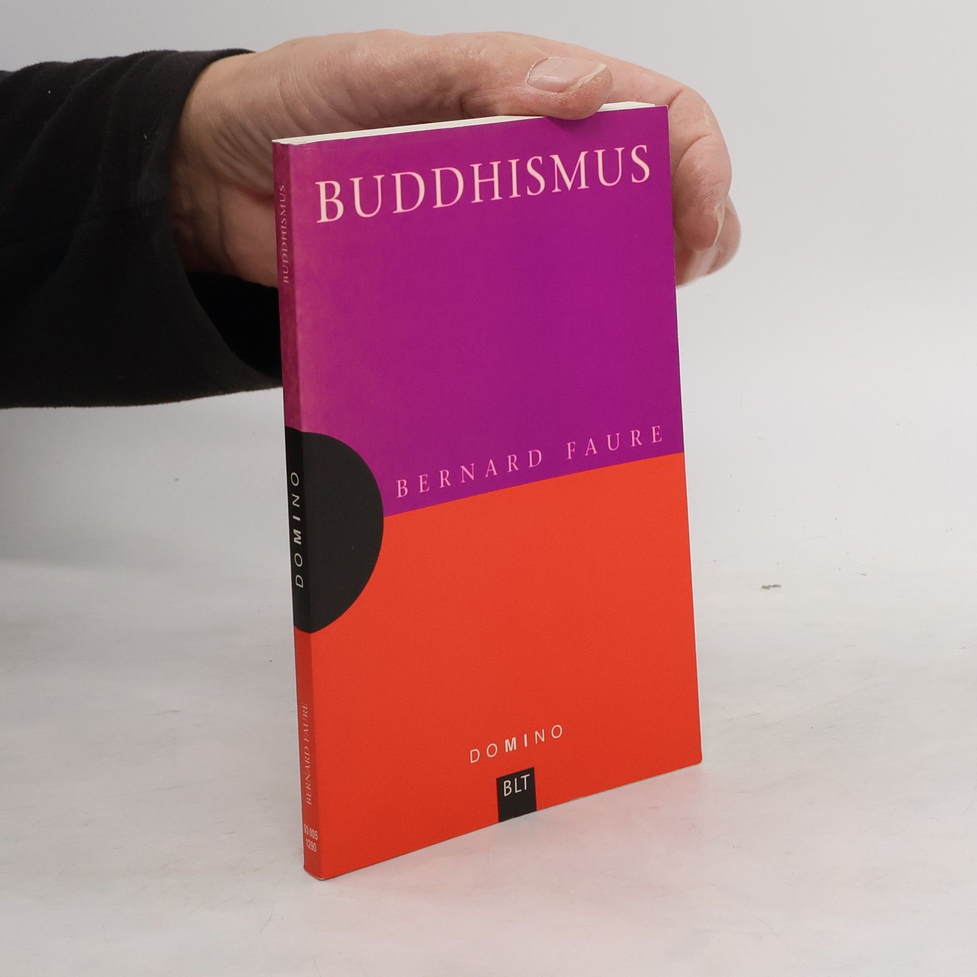 Bernard Faure Buddhismus