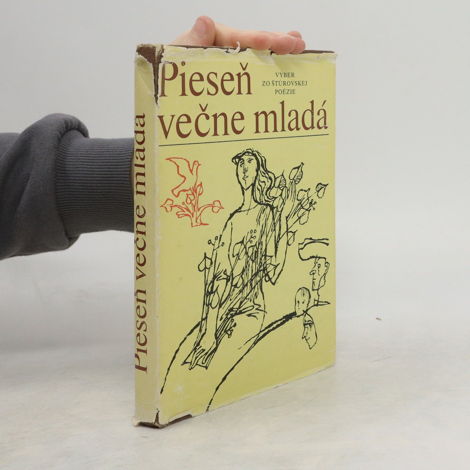 AA.VV. Pieseň večne mladá