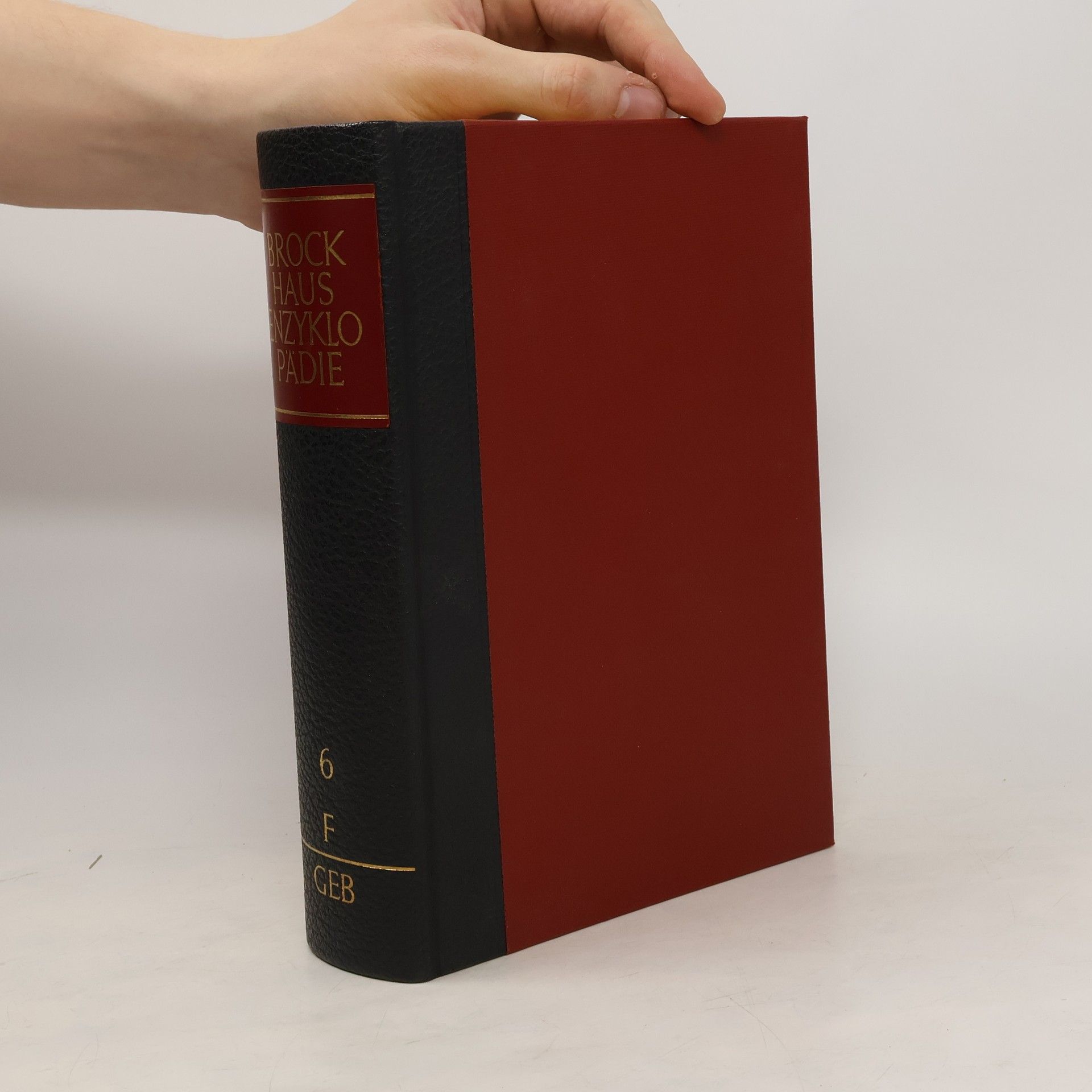 Autorenkollektiv Brockhaus Ezyklopädie 6. F-Geb