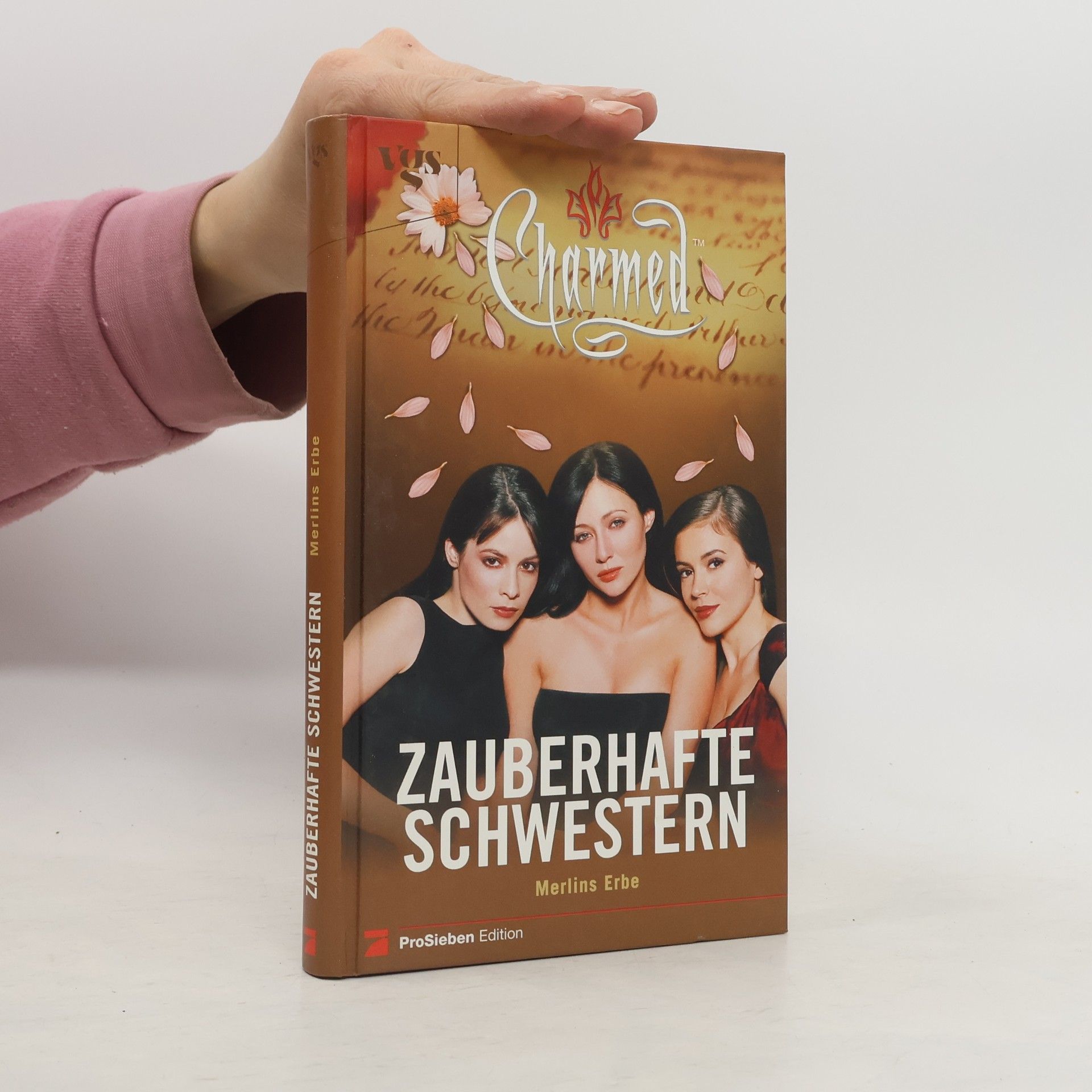 Torsten Dewi Zauberhafte Schwestern: Merlins Erbe
