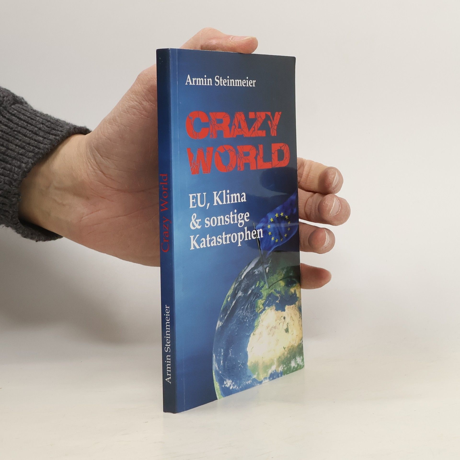 Armin Steinmeier Crazy world