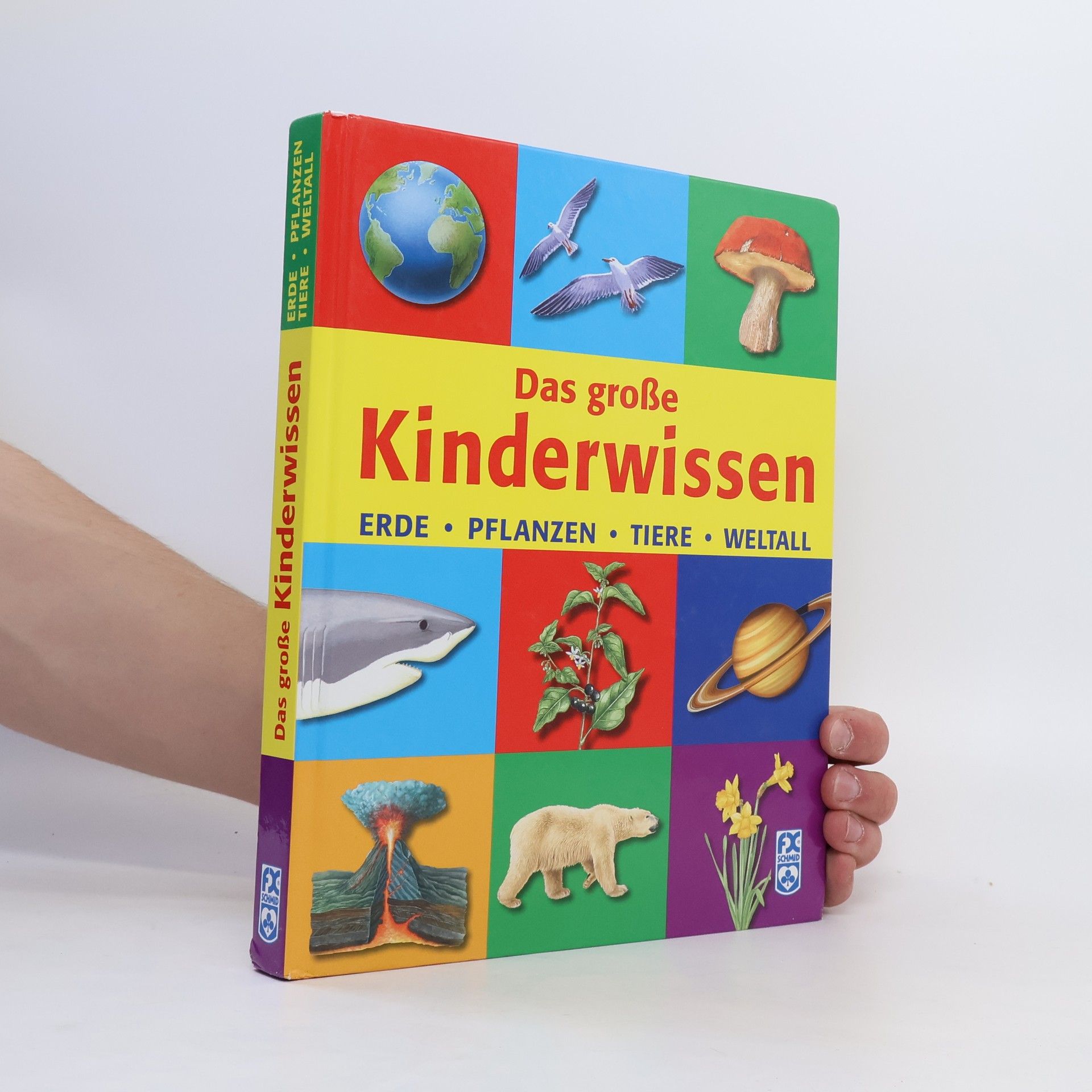 Collective Das große Kinderwissen