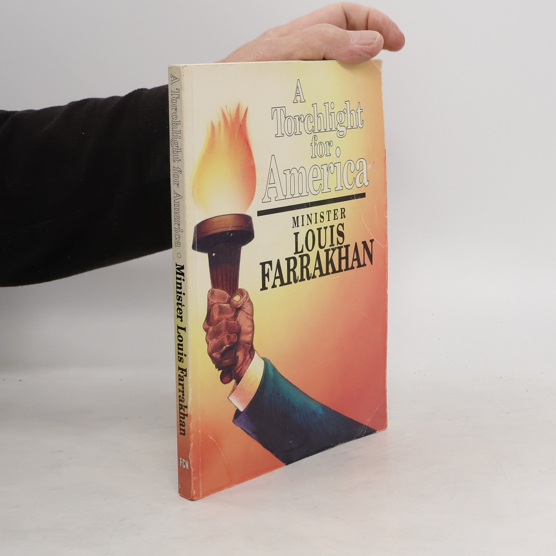 A Torchlight for America