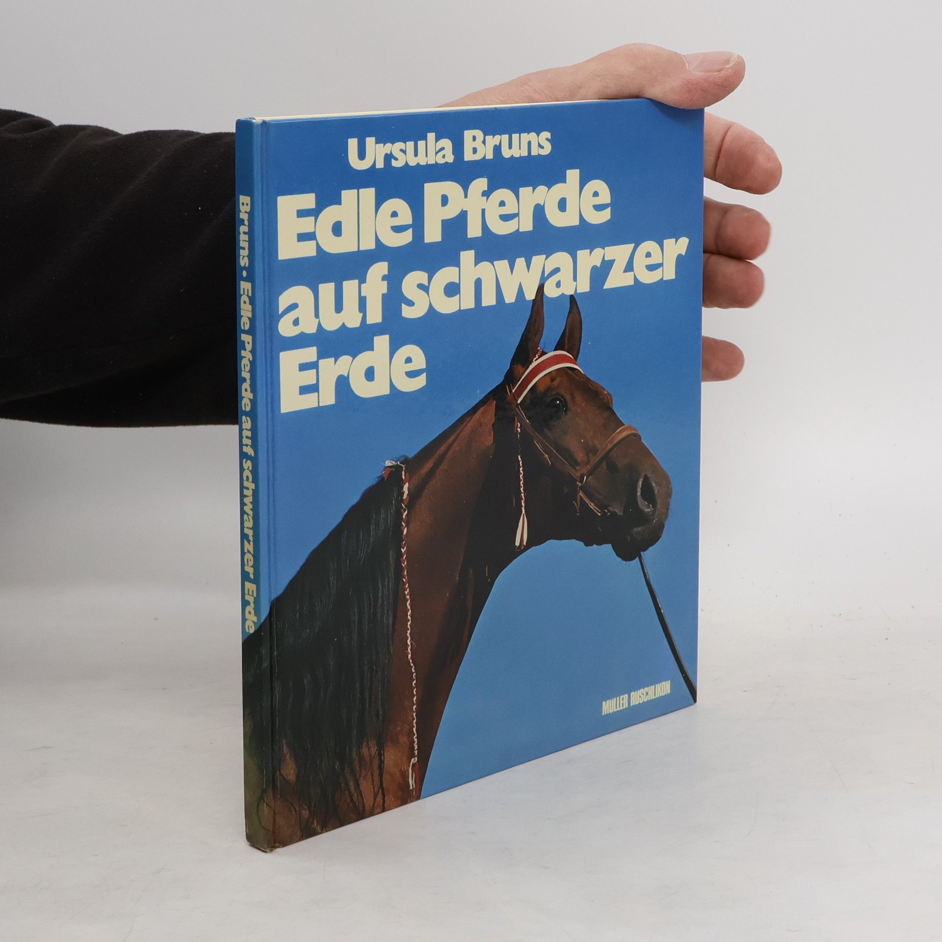 Ursula Bruns Edle Pferde auf schwarzer Erde