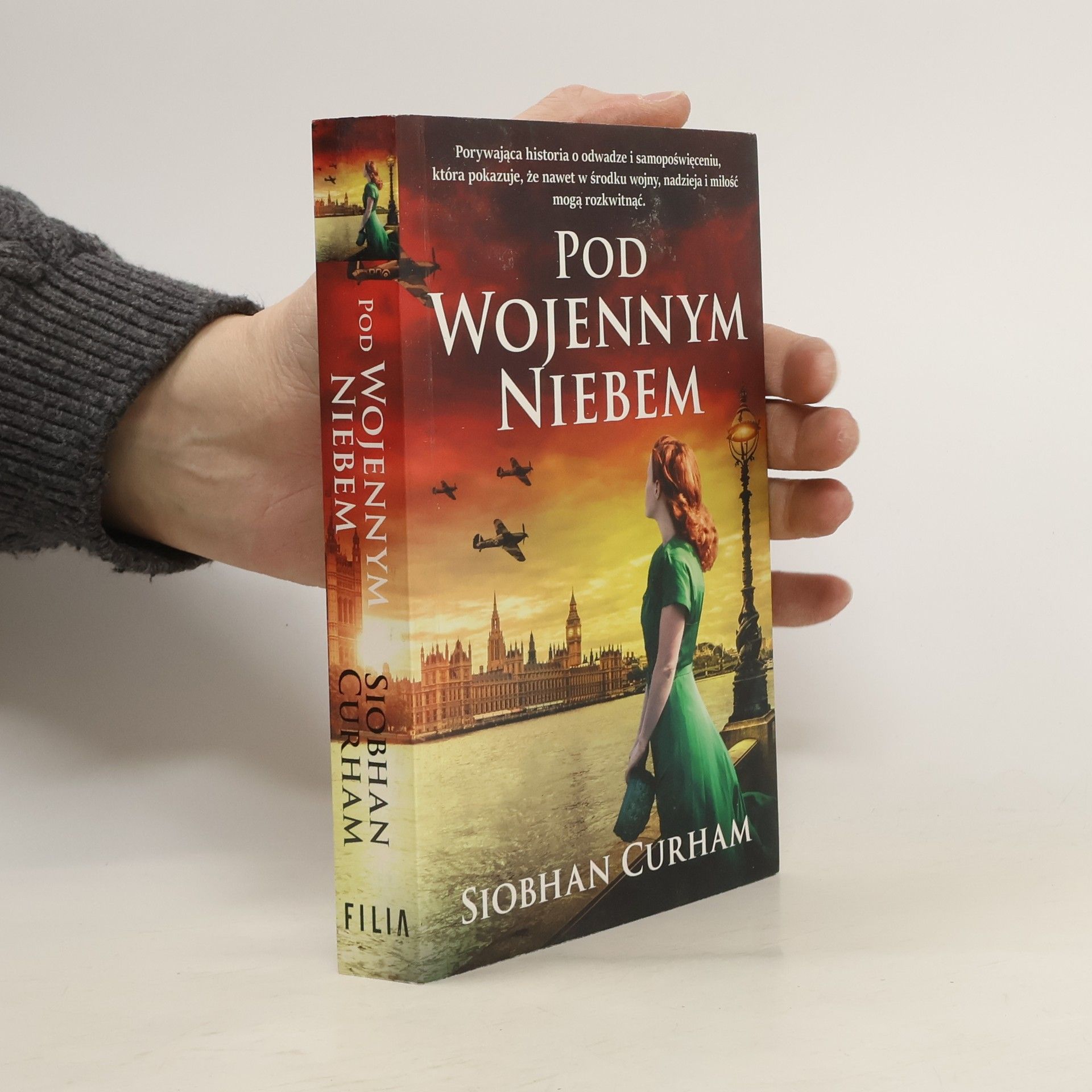 Siobhan Curham Pod wojennym niebem