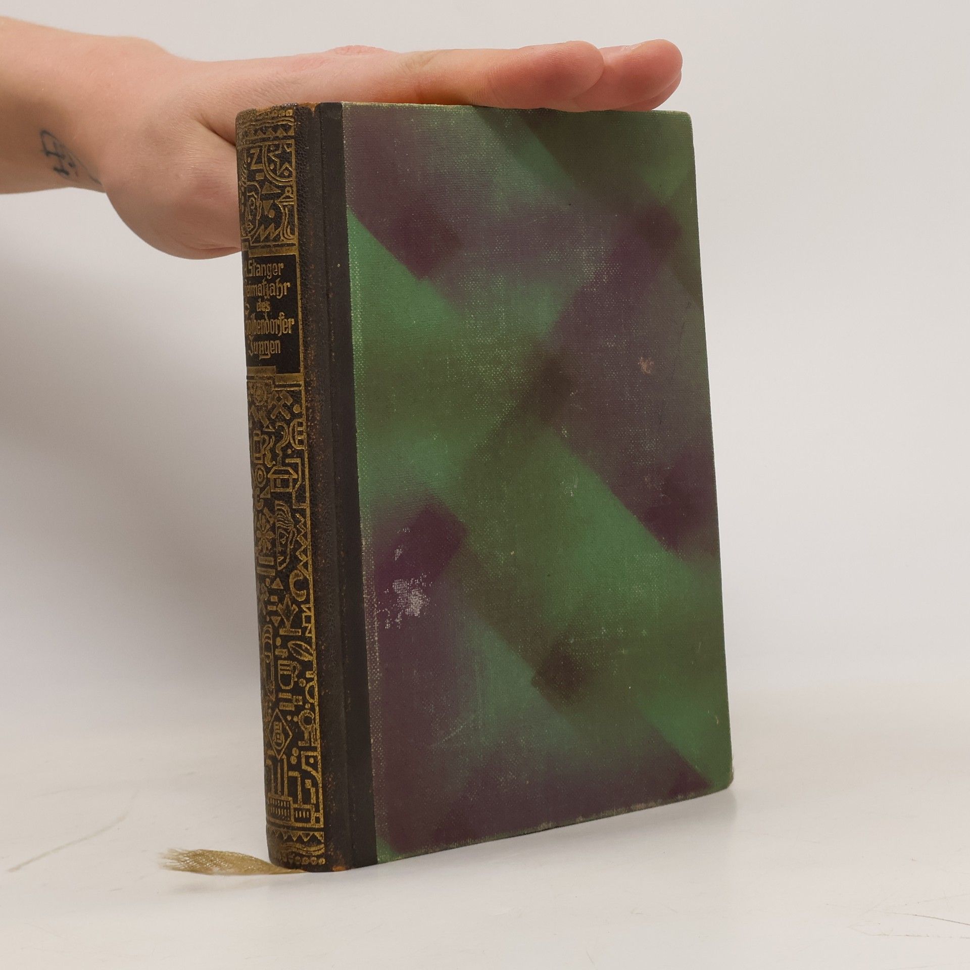 Hermann Stanger Das Heimatjahr des Kolbendorfer Jungen