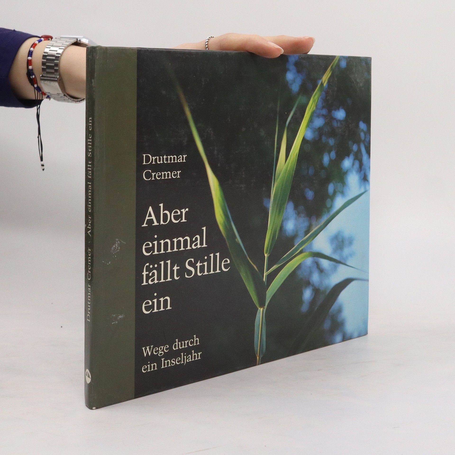 Drutmar Cremer Aber einmal fällt Stille ein