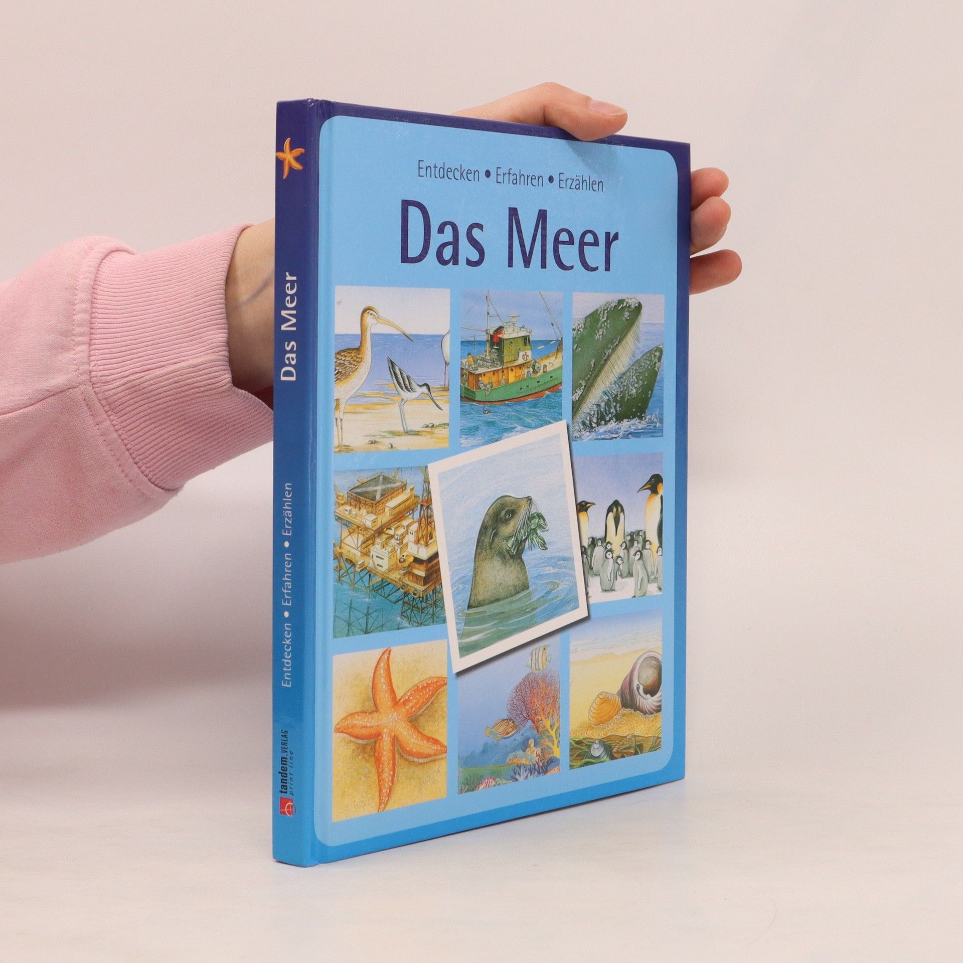 Autorenkollektiv Das Meer