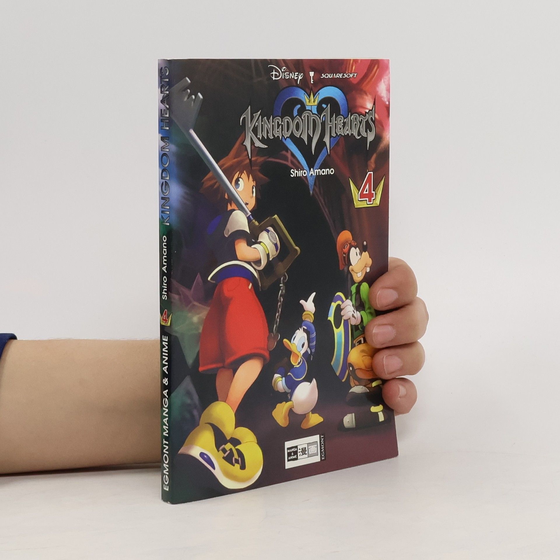 Kingdom hearts