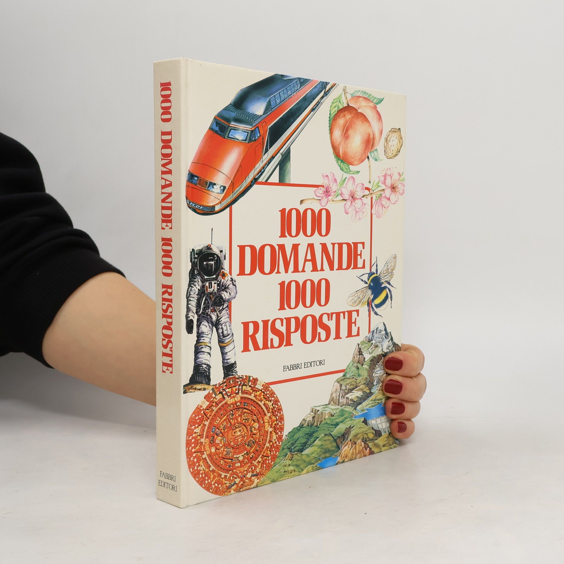 Autorenkollektiv 1000 Domande 1000 Risposte