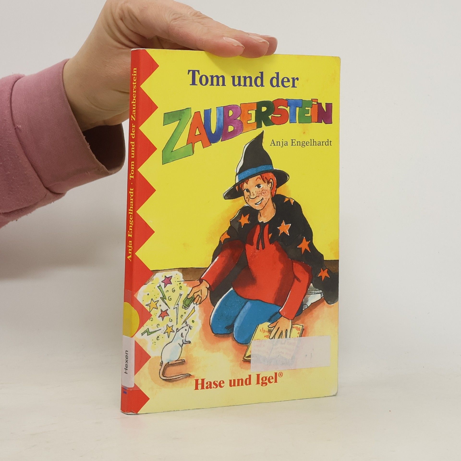 Anja Engelhardt Tom und der Zauberstein