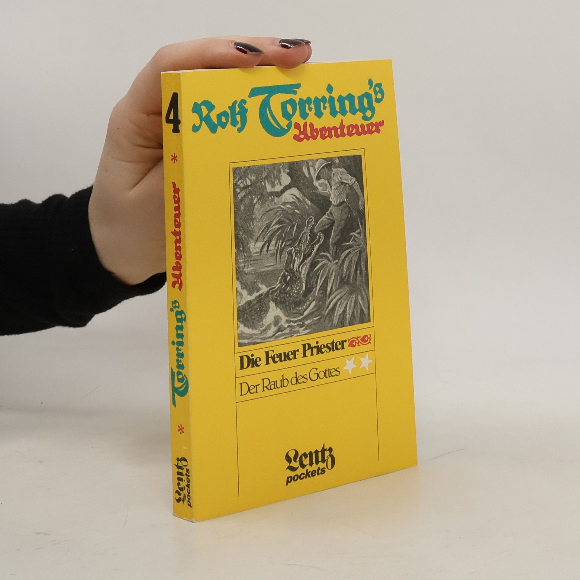 Autorenkollektiv Rolf Torring's Abenteuer 4