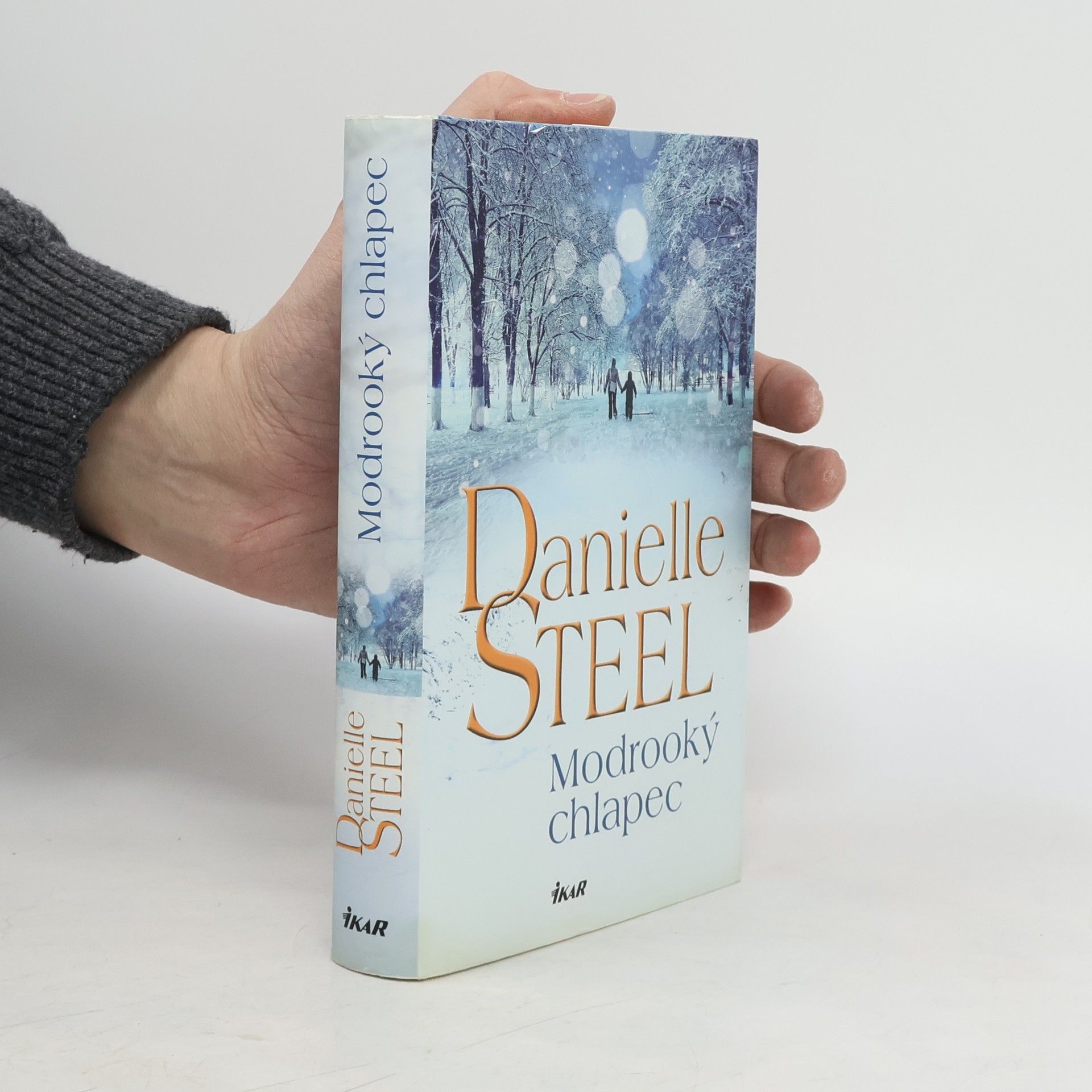 Danielle Steel Modrooký chlapec