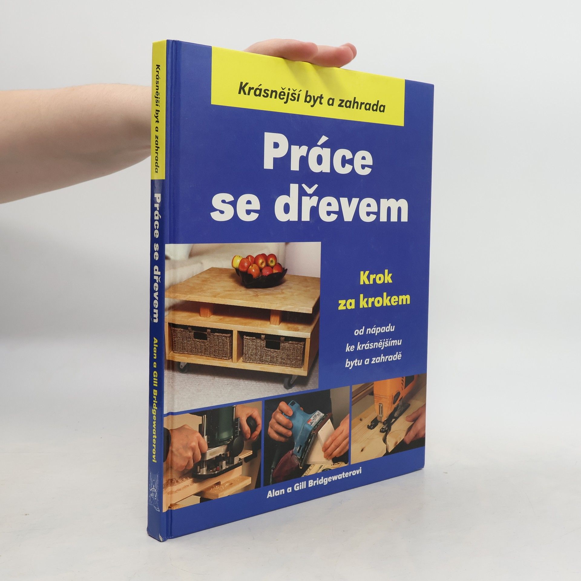 Alan Bridgewater Práce se dřevem krok za krokem