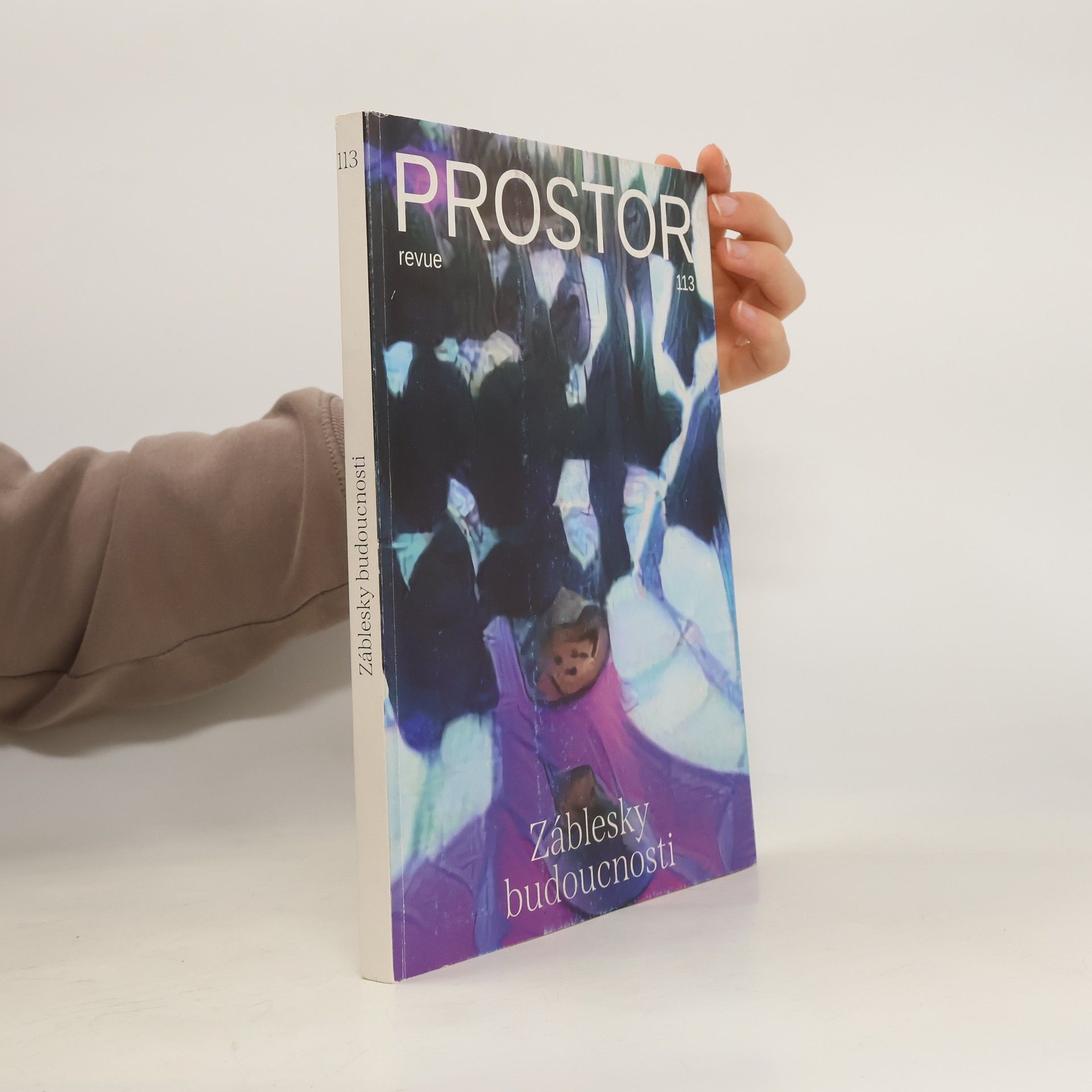 Autorenkollektiv Revue Prostor 113. Záblesky z budoucnosti