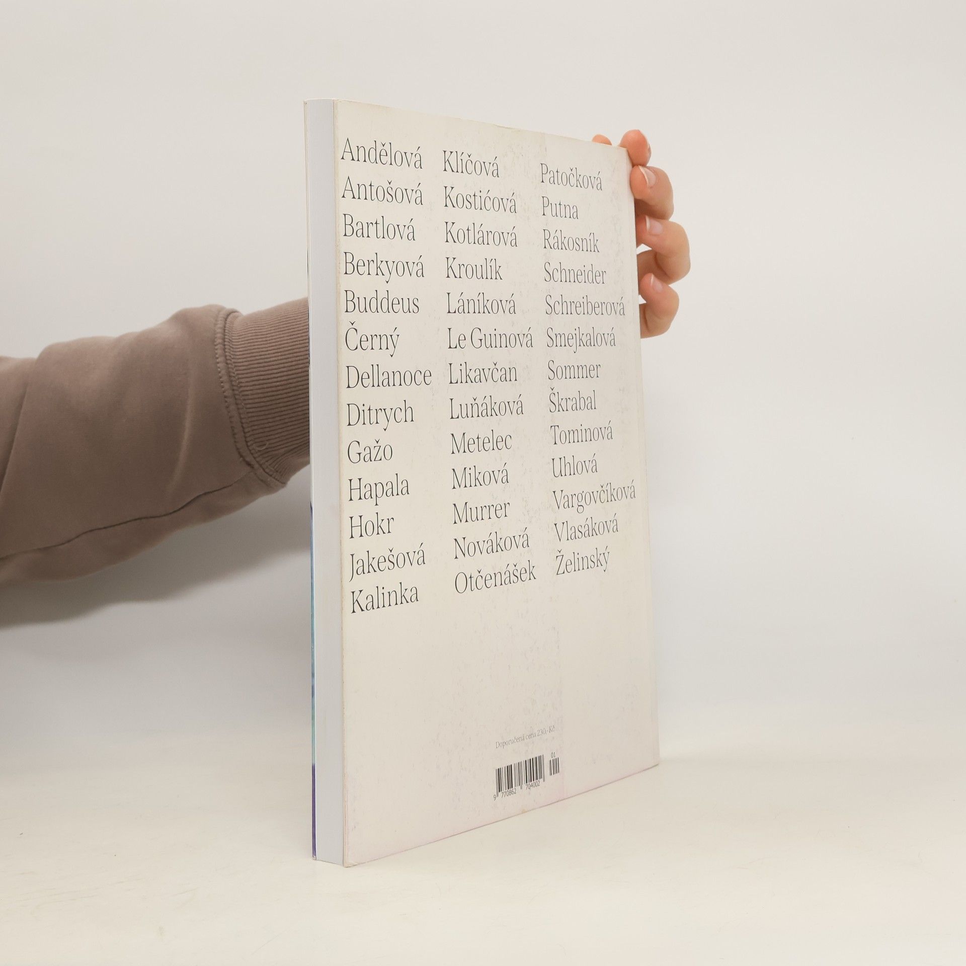 Autorenkollektiv Revue Prostor 113. Záblesky z budoucnosti