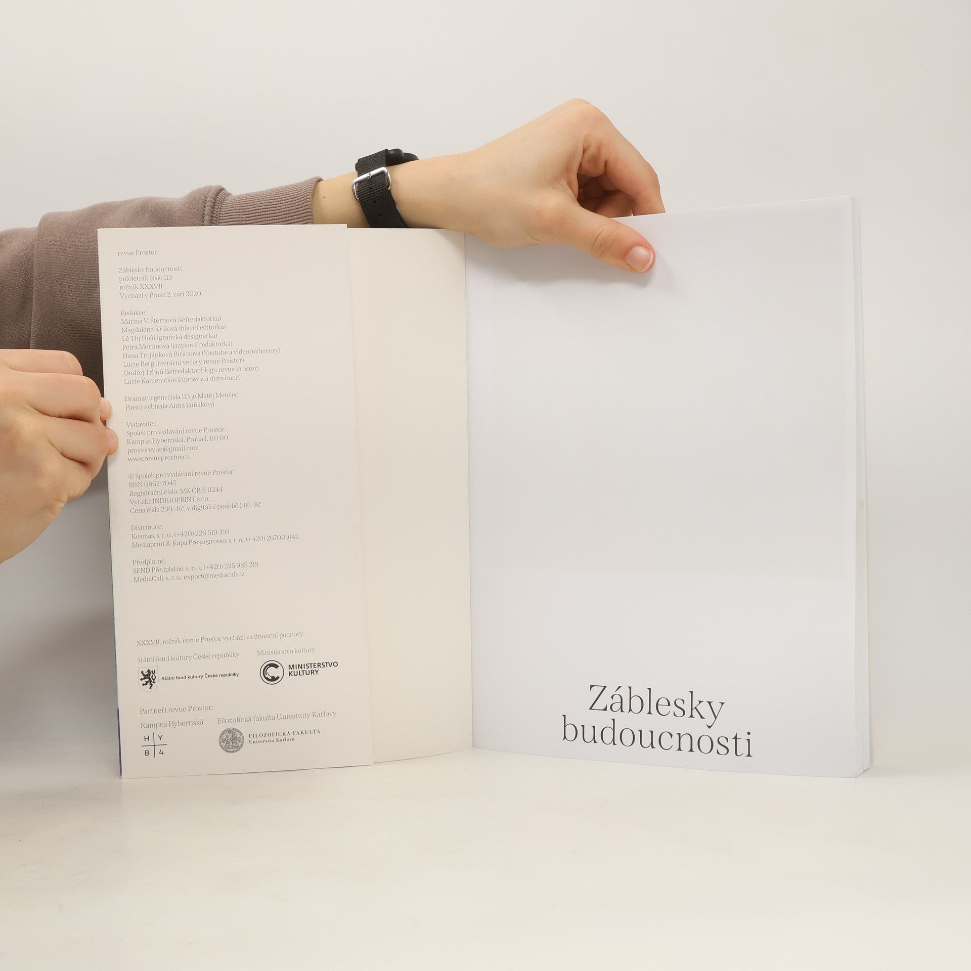 Autorenkollektiv Revue Prostor 113. Záblesky z budoucnosti