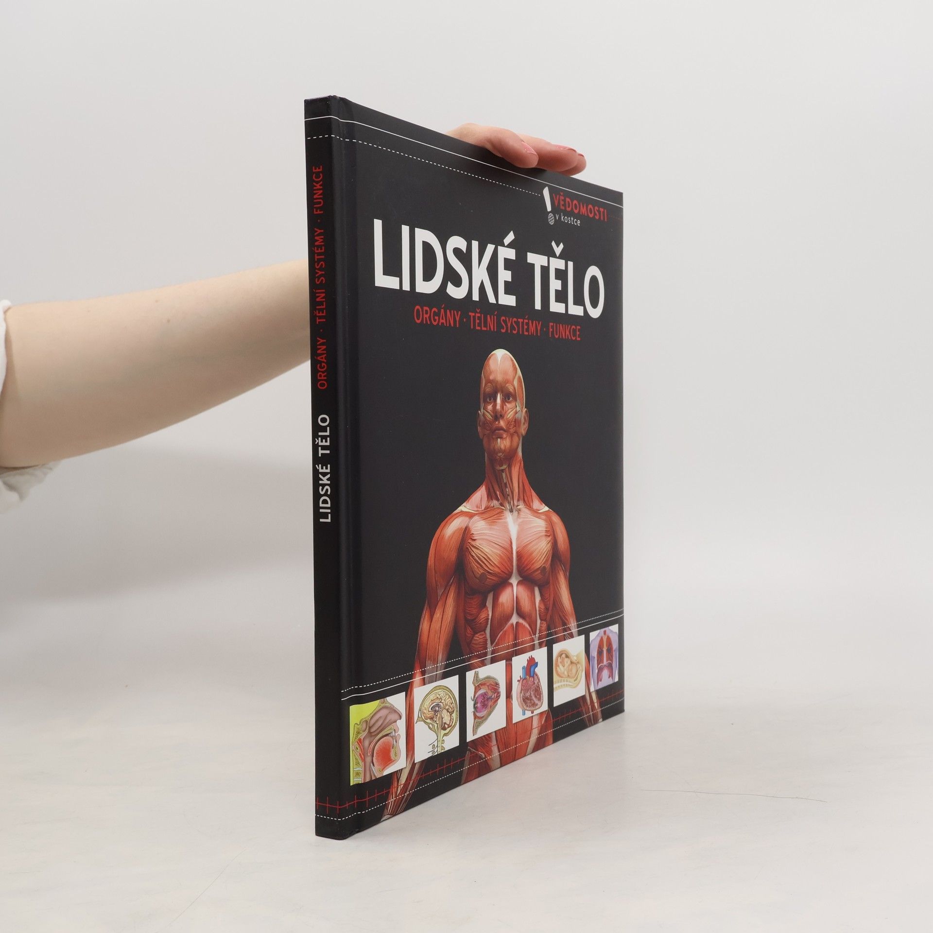 kolektiv Lidské tělo. Orgány, tělní soustavy, funkce