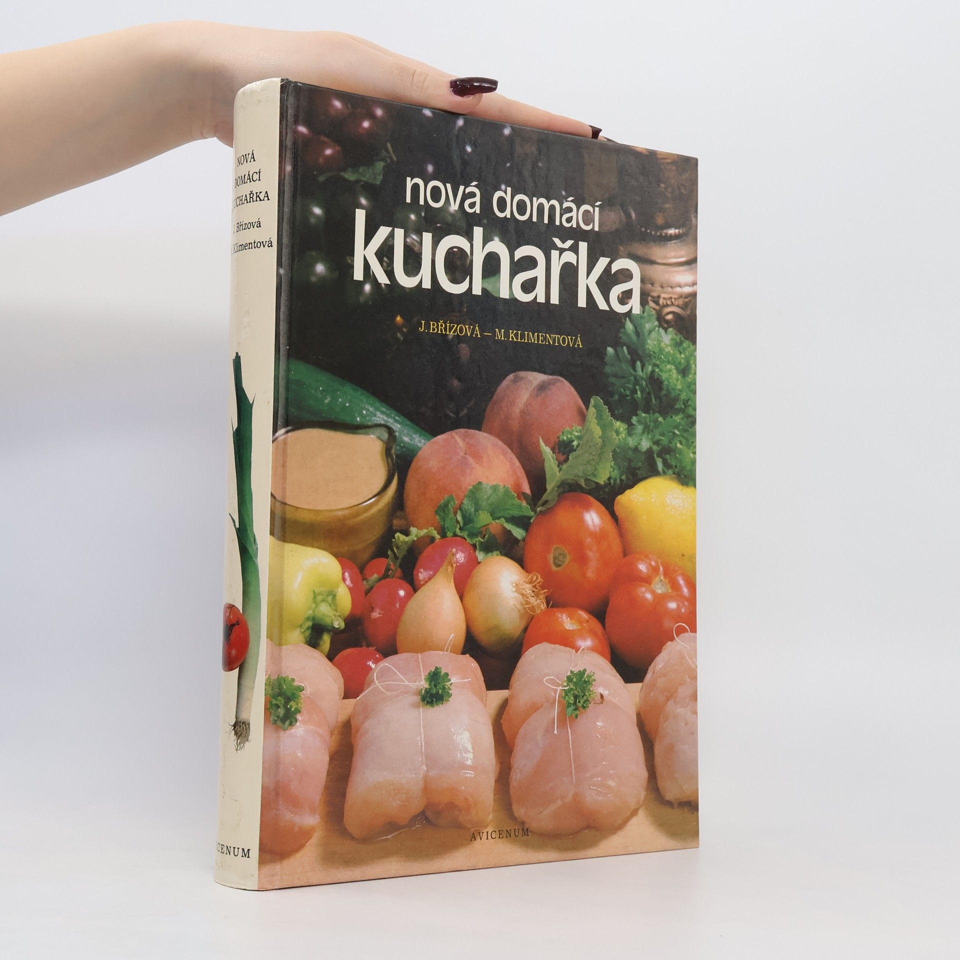 Joza Břízová Nová domácí kuchařka