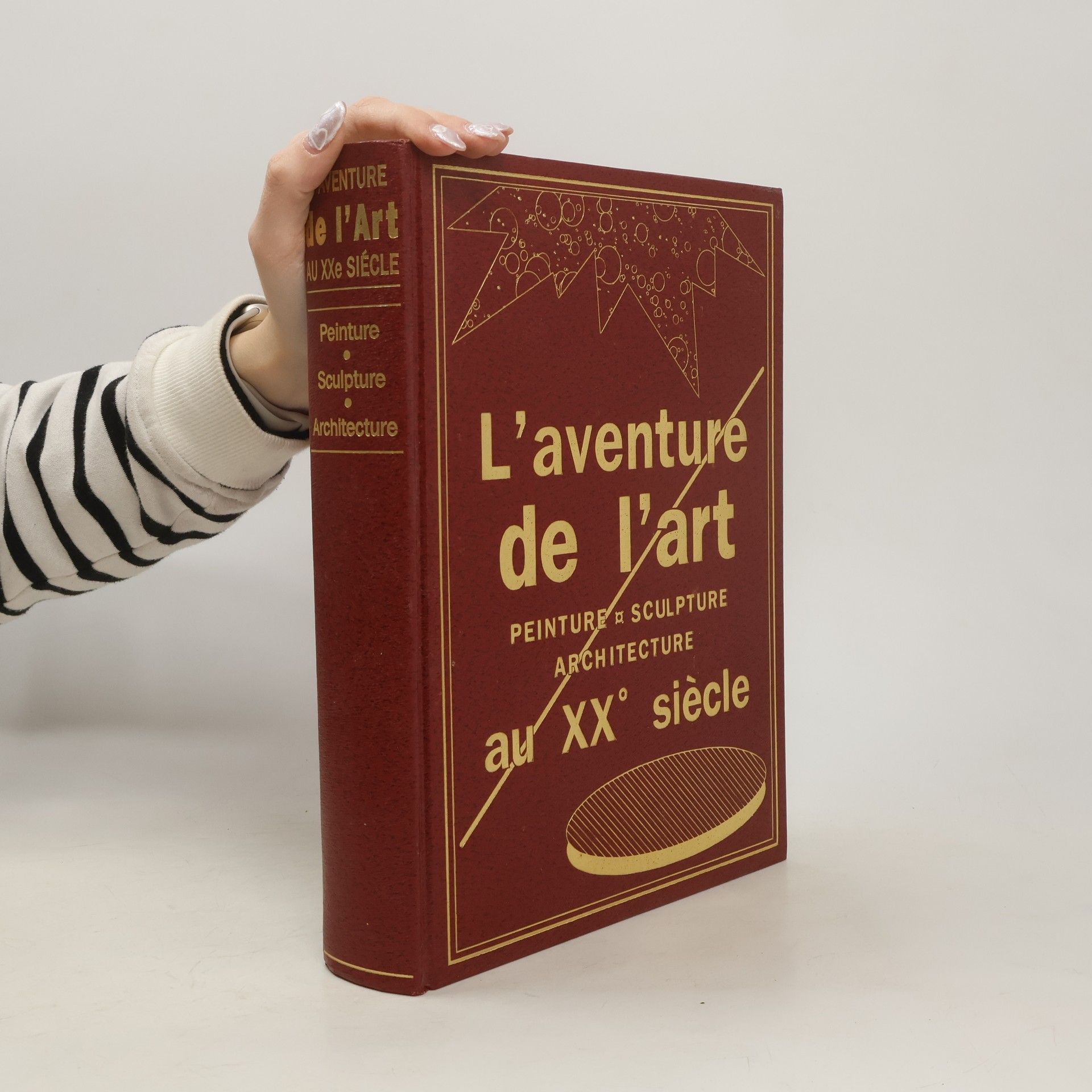 Yann Le Pichon L'aventure de l'art au XXe siècle