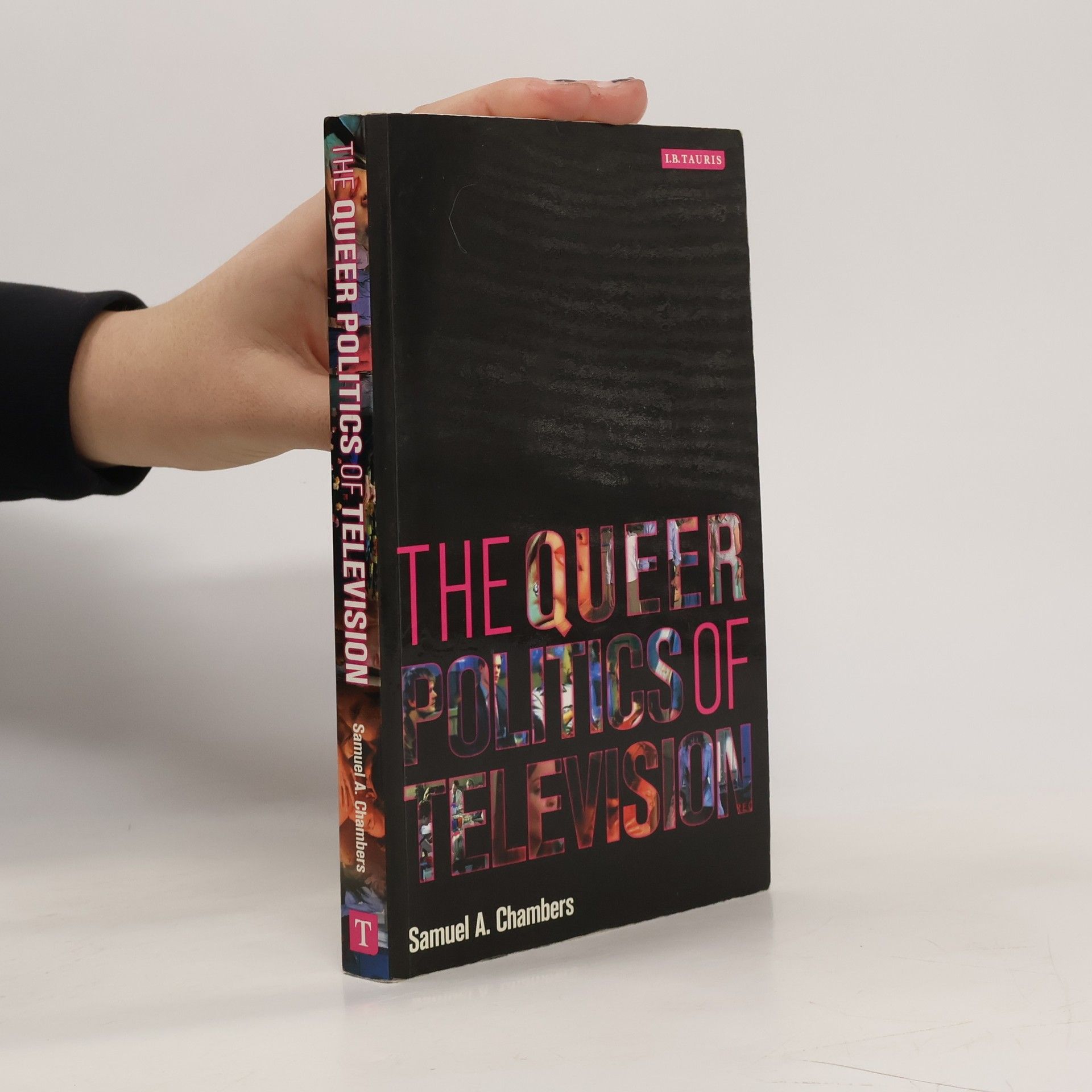 Samuel A. Chambers The Queer Politics of Television